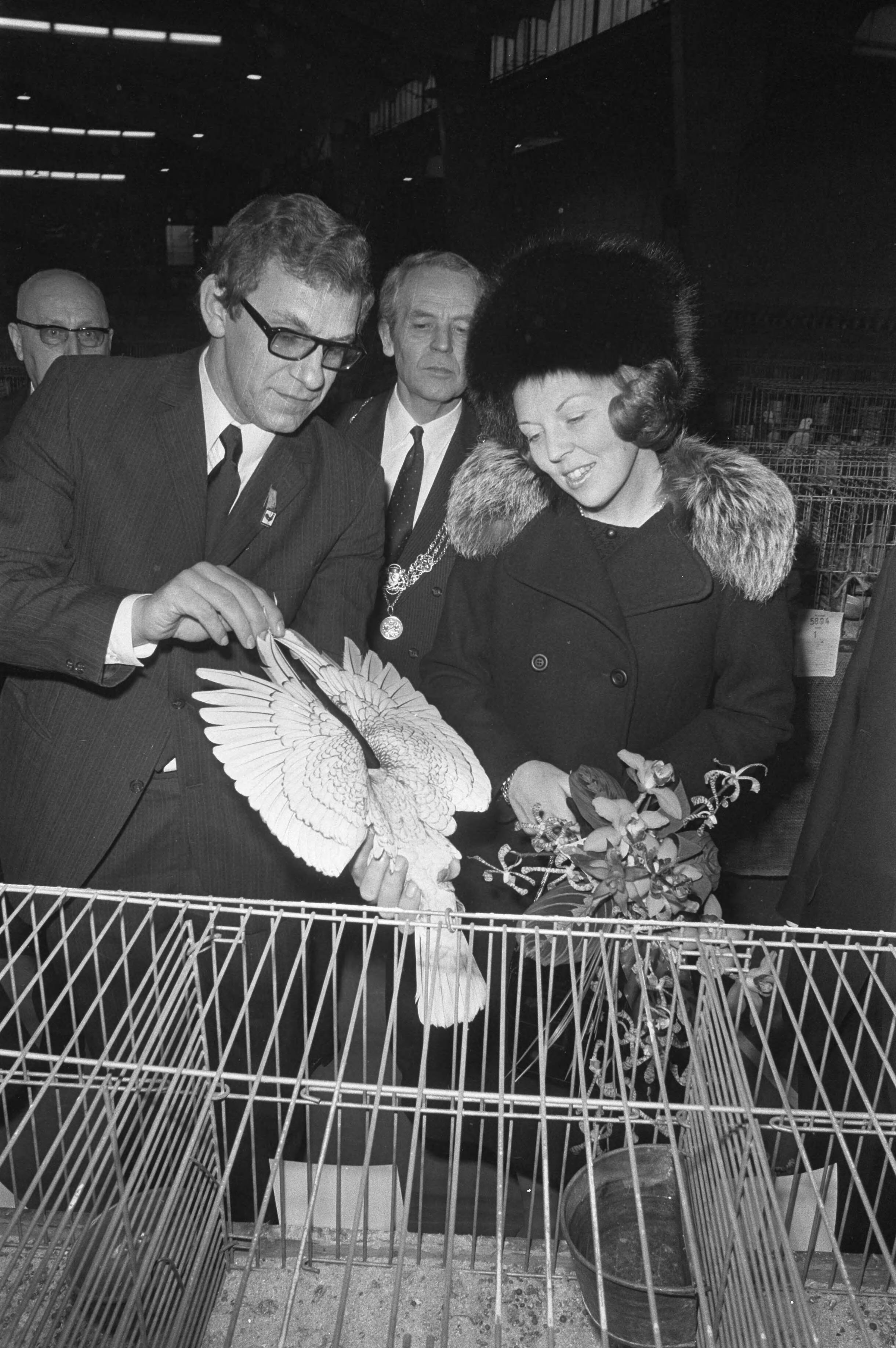 Fotocollectie Anefo — Prinses Beatrix opent 75e kleindiertentoonstelling "Avicultura" in Houtrusthallen te Den Haag , Prinses Beatrix bezoekt zeldzame duif / — Foto: Verhoeff, Bert / Anefo. Licentie: Set B: Rechtenvrij / Publiek Domein. Bron: Nationaal Archief. http://hdl.handle.net/10648/abde046e-d0b4-102d-bcf8-003048976d84