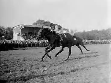 Fotocollectie Anefo — Draverijen en paardenrennen op Duindigt — Foto: Bilsen, Joop van / Anefo. Licentie: Set B: Rechtenvrij / Publiek Domein. Bron: Nationaal Archief. http://hdl.handle.net/10648/a96a92b0-d0b4-102d-bcf8-003048976d84
