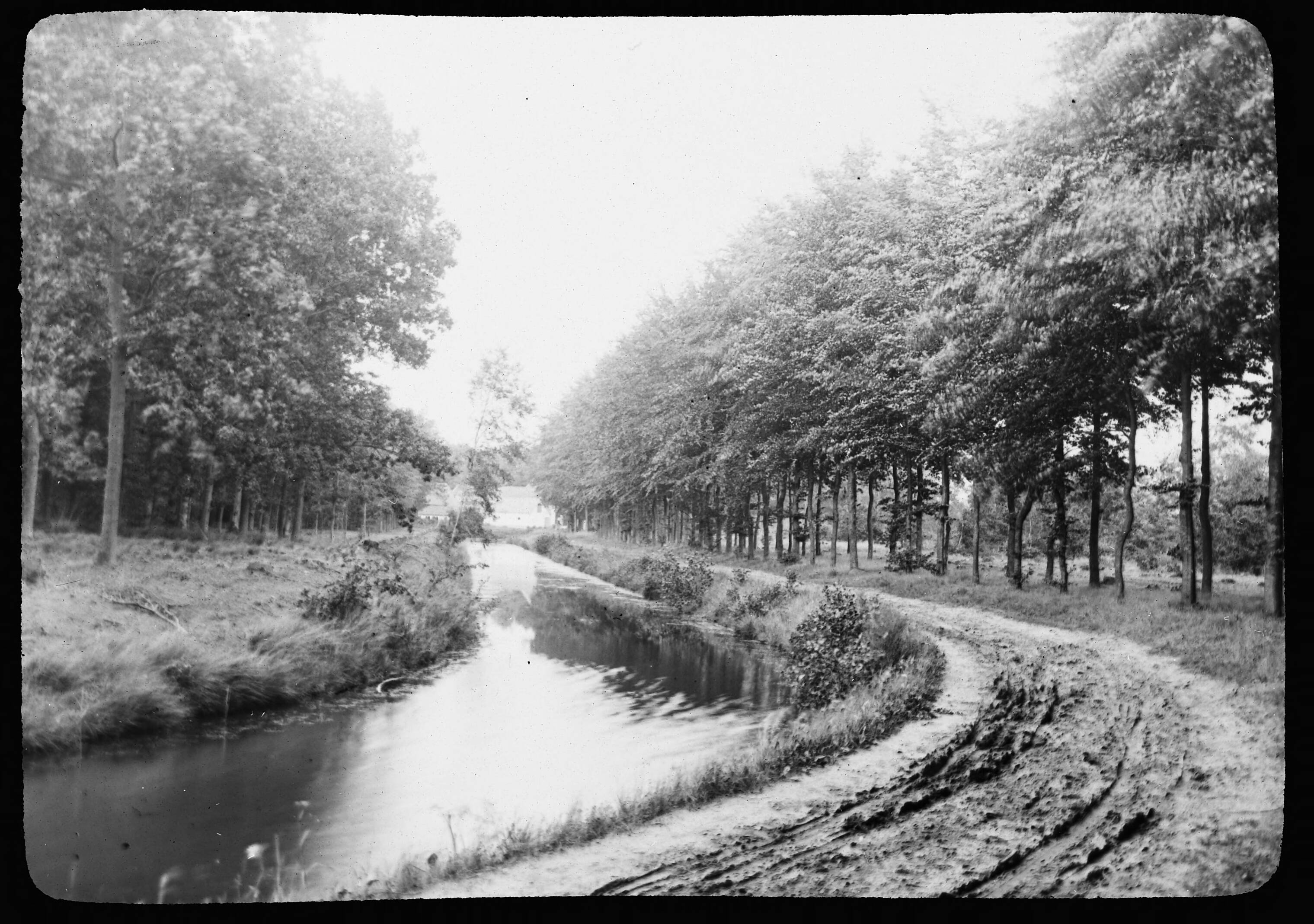 Fotocollectie Nederlandse Heidemaatschappij — Baarn|wegbeplantingen |snoeien |lanen — Foto: Fotograaf Onbekend / Heidemij. Licentie: Set B: Rechtenvrij / Publiek Domein. Bron: Nationaal Archief. http://hdl.handle.net/10648/ae49bc98-d0b4-102d-bcf8-003048976d84