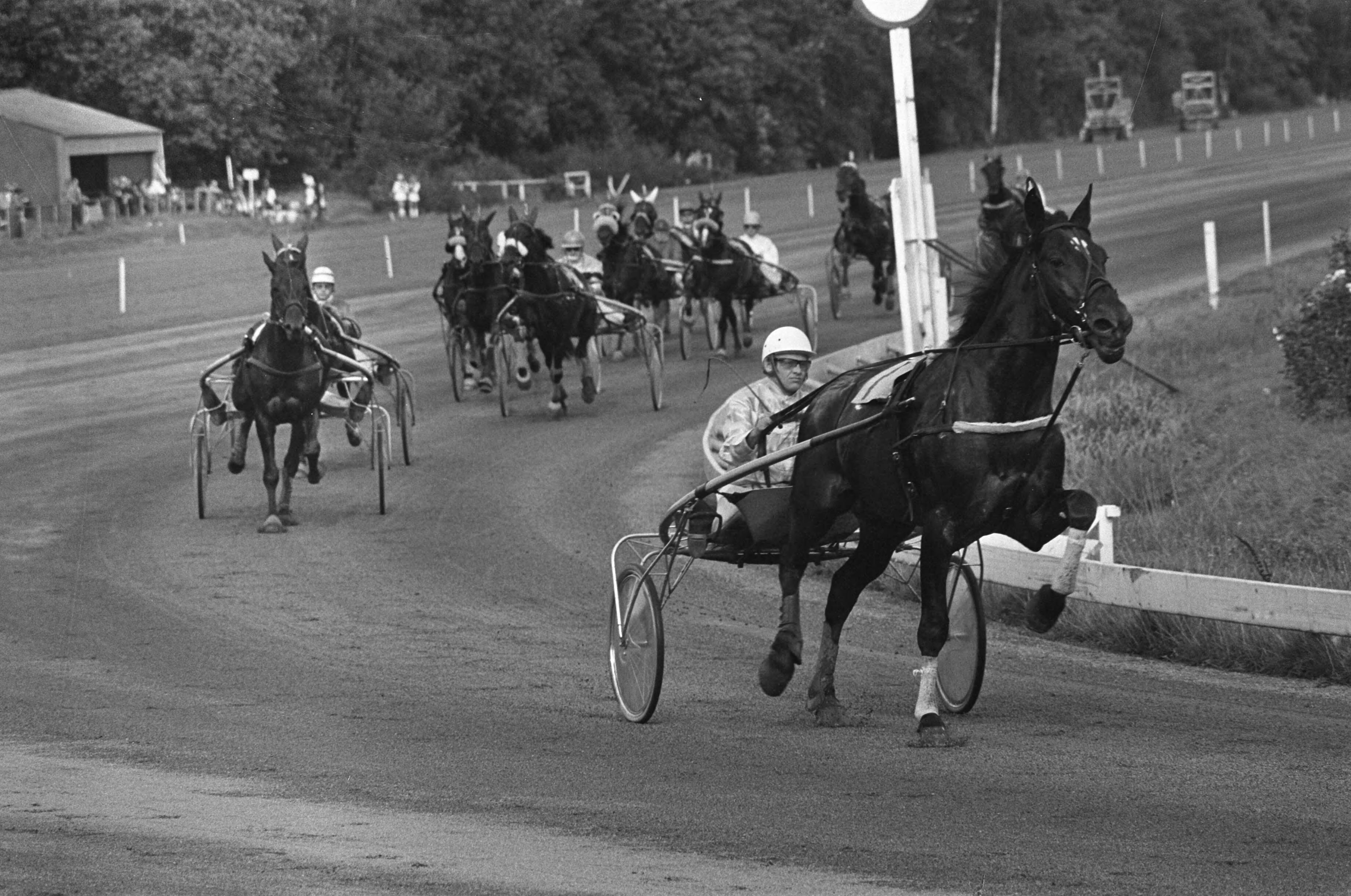 Fotocollectie Anefo — Paardeninterland Nederland tegen Belgie op Duindigt; overzicht paardenrace — Foto: Mieremet, Rob / Anefo. Licentie: Set B: Rechtenvrij / Publiek Domein. Bron: Nationaal Archief. http://hdl.handle.net/10648/ac731716-d0b4-102d-bcf8-003048976d84