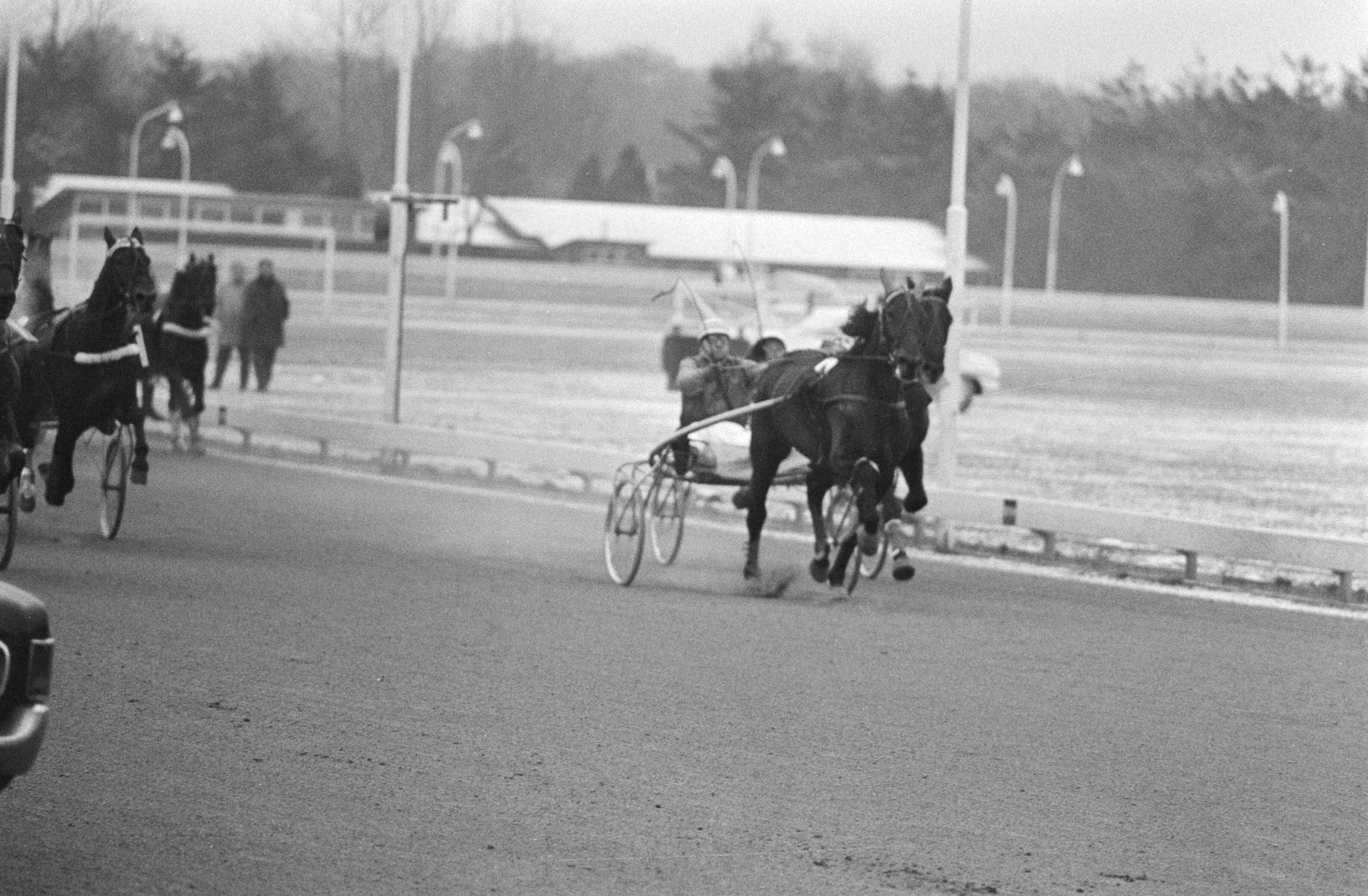 Fotocollectie Anefo — Paardenkoers Grote kerstprijs te Hilversum — Foto: Verhoeff, Bert / Anefo. Licentie: Set B: Rechtenvrij / Publiek Domein. Bron: Nationaal Archief. http://hdl.handle.net/10648/abae701e-d0b4-102d-bcf8-003048976d84