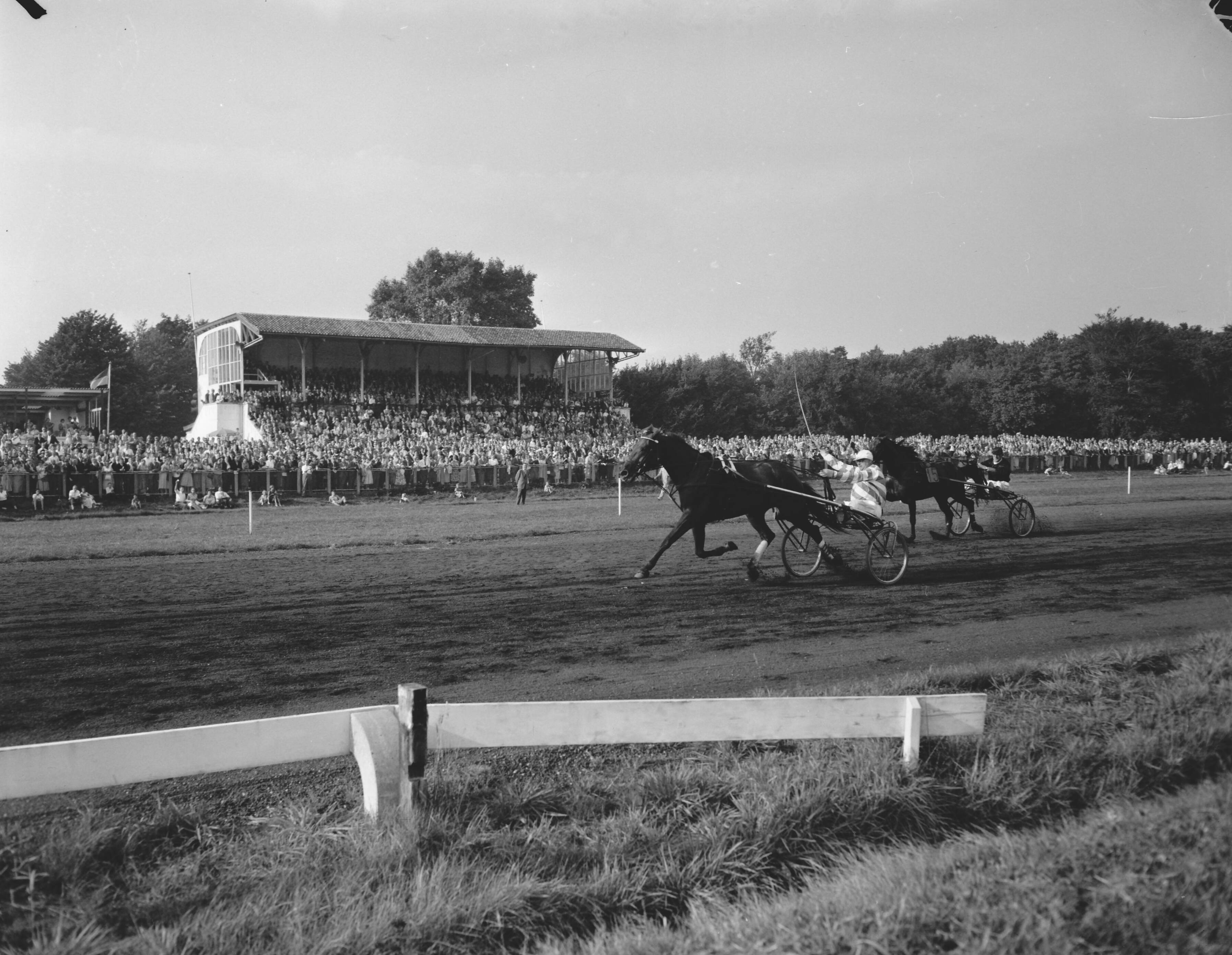 Fotocollectie Anefo — Draverijen te Duindigt. Kampioenschap van Nederland (2500 meter). Theo Messidor wint voor Roland — Foto: Bilsen, Joop van / Anefo. Licentie: Set B: Rechtenvrij / Publiek Domein. Bron: Nationaal Archief. http://hdl.handle.net/10648/a9848c42-d0b4-102d-bcf8-003048976d84