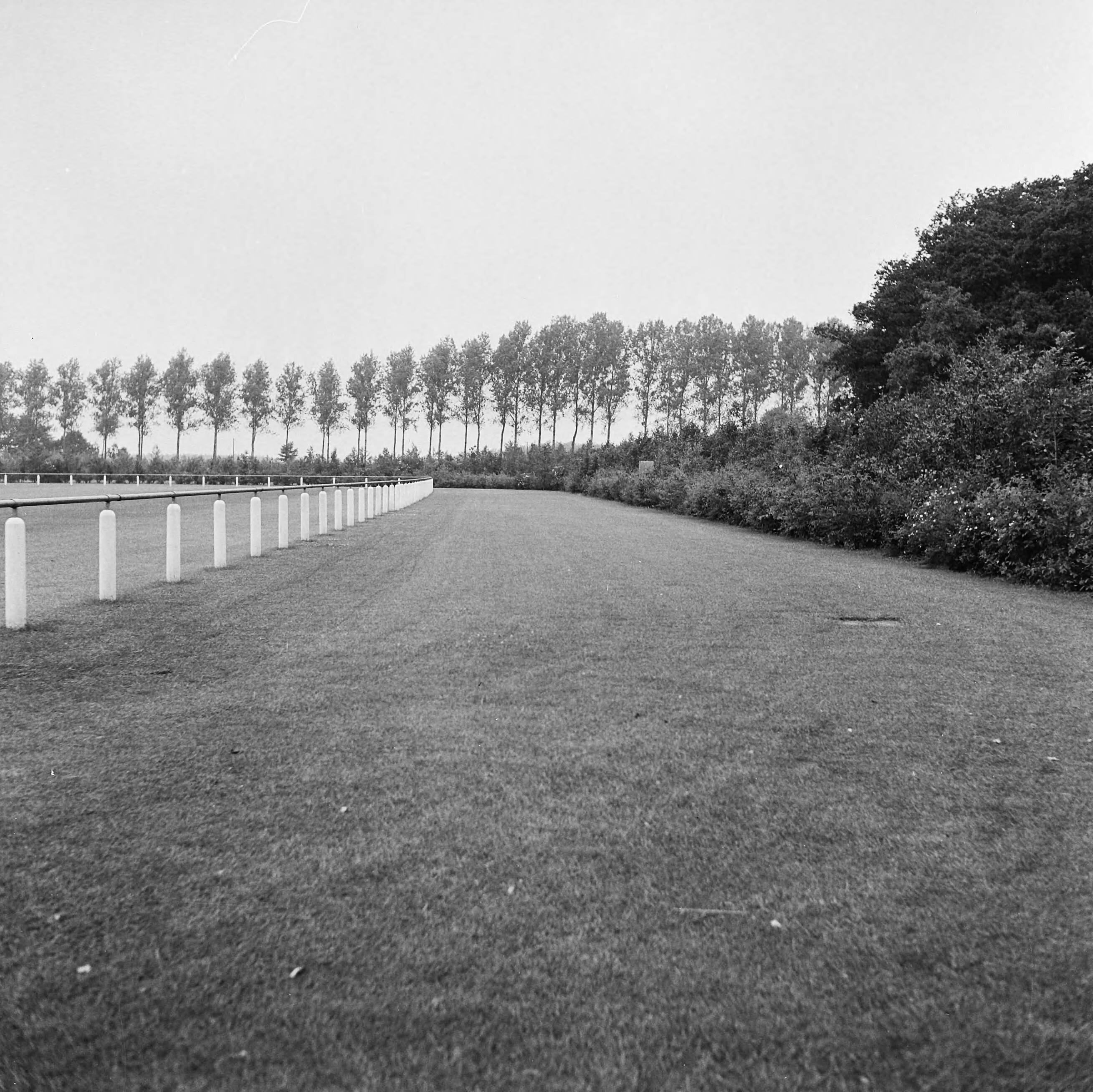 Fotocollectie Nederlandse Heidemaatschappij — Sportterrein te Ter Apel — Foto: Eyssen, [...] / Heidemij. Licentie: Set B: Rechtenvrij / Publiek Domein. Bron: Nationaal Archief. http://hdl.handle.net/10648/ae7929ce-d0b4-102d-bcf8-003048976d84