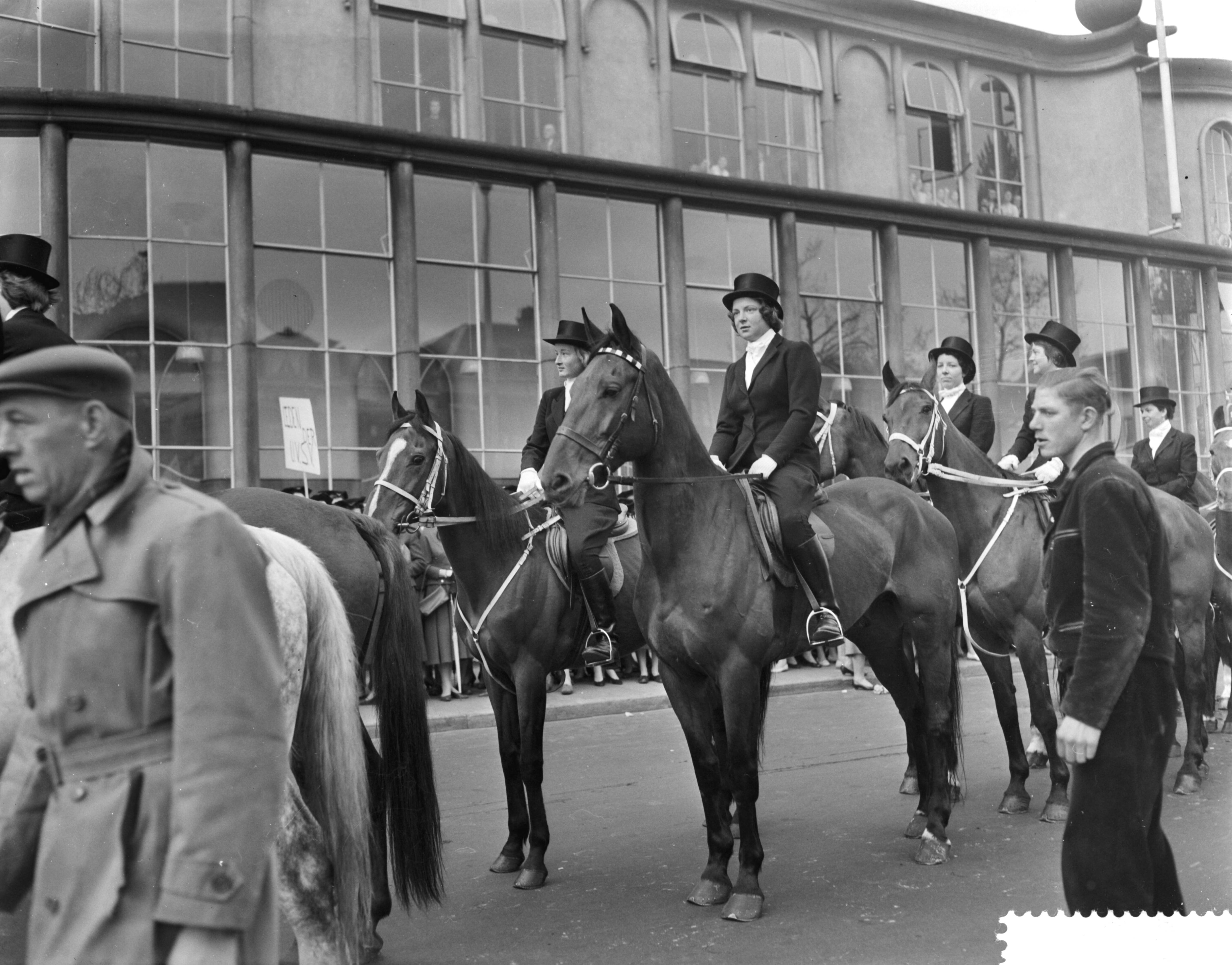 12e lustrum Utrechtse Vrouwelijke Studenten Vereniging (UVSV). Prinses Margriet rijdt als amazone mee in de stoet — Begin 12e lustrum van de Utrechtse Vrouwelijke Studenten Vereniging (UVSV). Prinses Irene rijdt mee als amazone in de stoet — Foto: Bilsen, Joop van / Anefo. Licentie: Set B: Rechtenvrij / Publiek Domein. Bron: Nationaal Archief. http://hdl.handle.net/10648/a9922bfe-d0b4-102d-bcf8-003048976d84