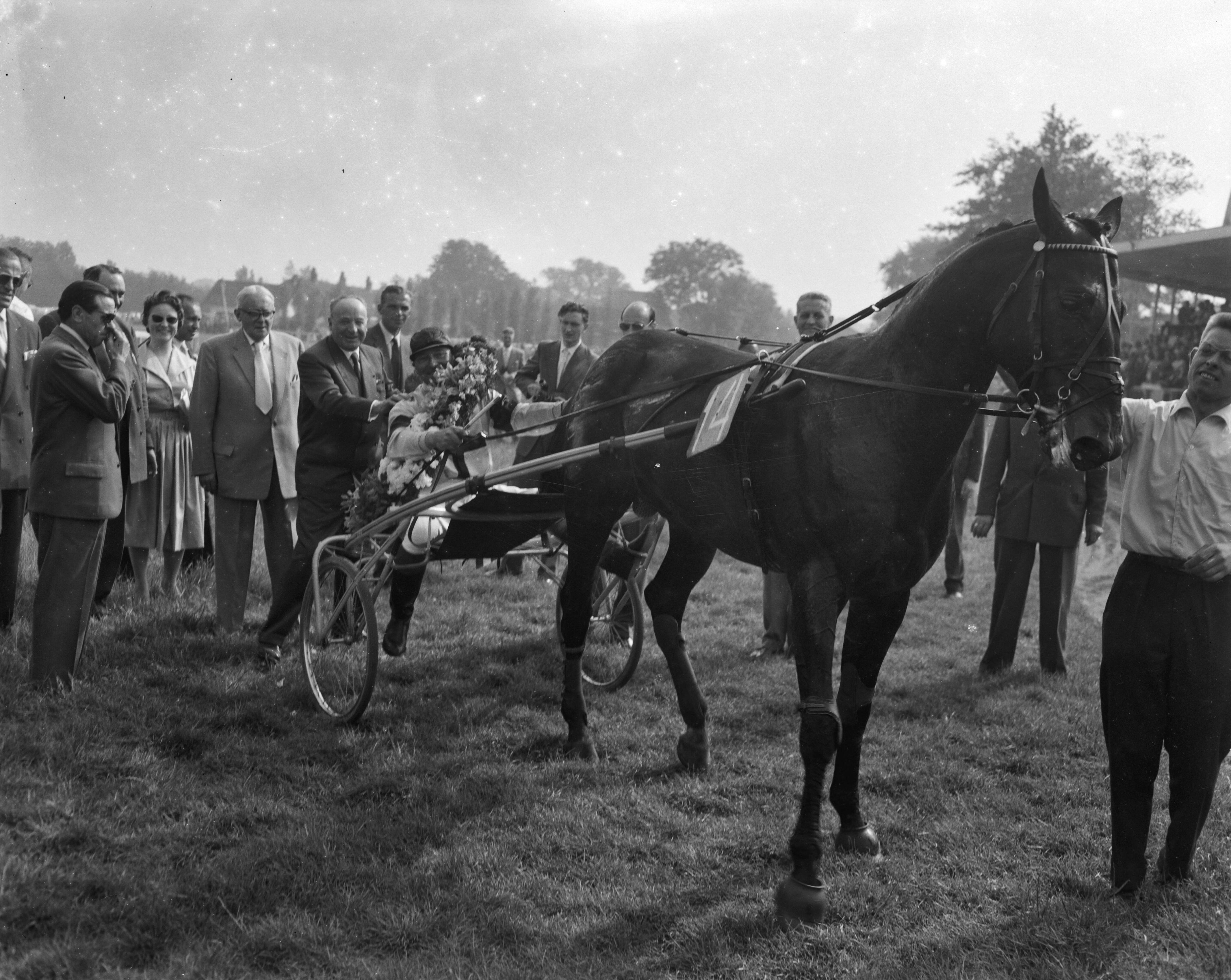 Fotocollectie Anefo — Draverijen op Duindigt — Foto: Behrens, Herbert F. / Anefo. Licentie: Set B: Rechtenvrij / Publiek Domein. Bron: Nationaal Archief. http://hdl.handle.net/10648/a97f6e60-d0b4-102d-bcf8-003048976d84