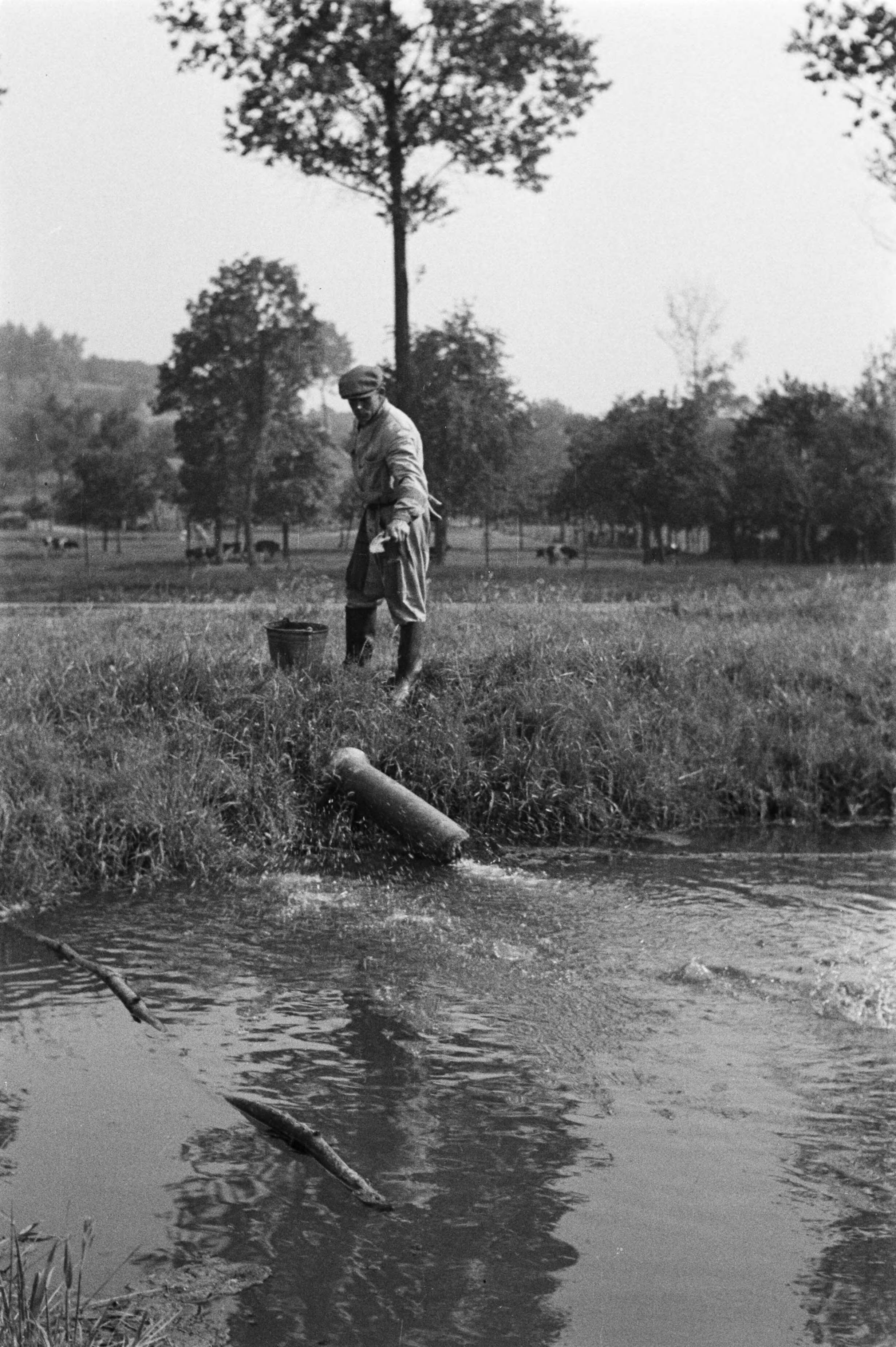 Fotocollectie Nederlandse Heidemaatschappij — Gulpen|visserij |viskwekerijen |voederingen |forellen |mannen — Foto: Fotograaf Onbekend / Heidemij. Licentie: Set B: Rechtenvrij / Publiek Domein. Bron: Nationaal Archief. http://hdl.handle.net/10648/ae89e610-d0b4-102d-bcf8-003048976d84
