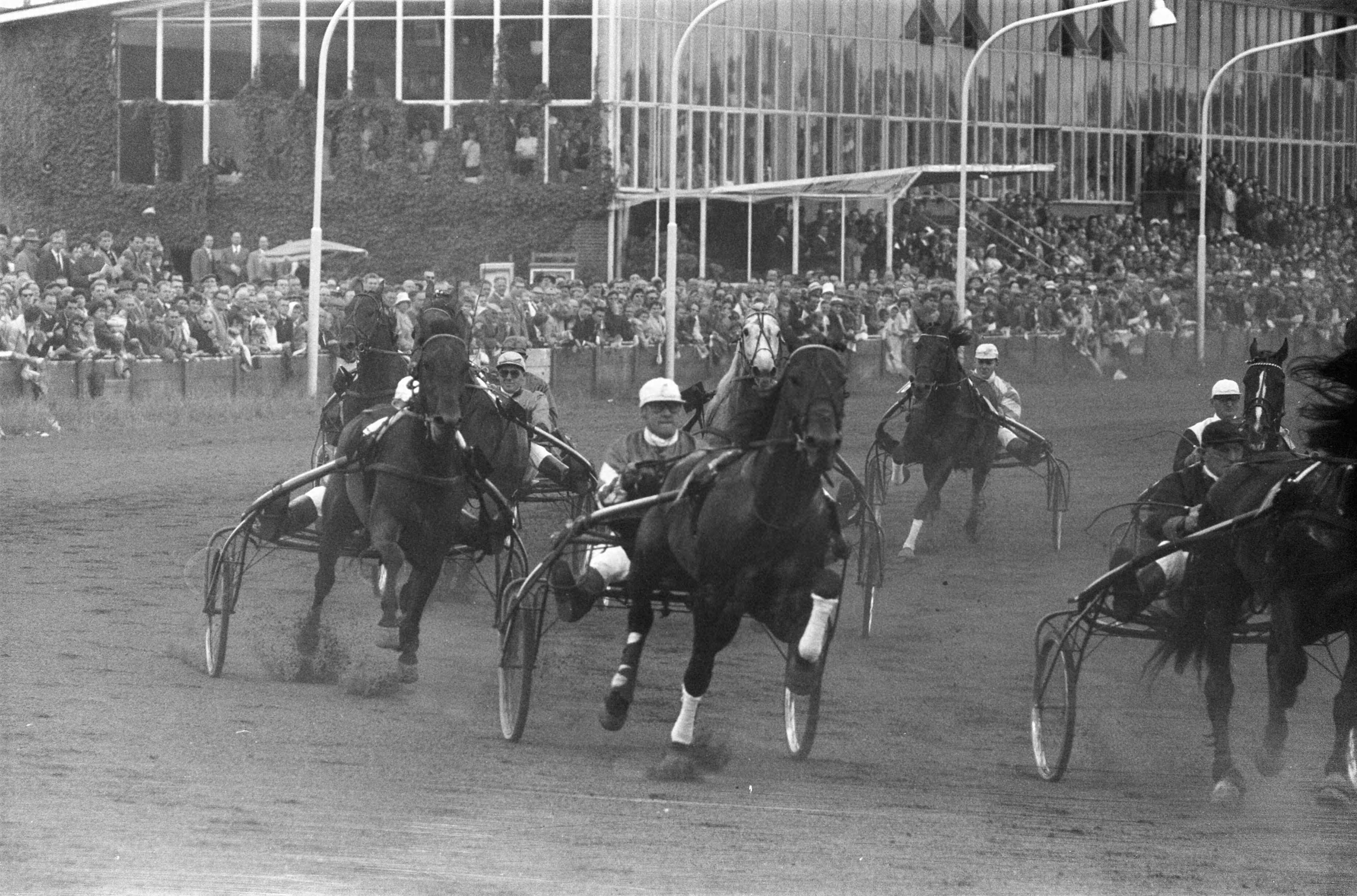 Fotocollectie Anefo — Draverijen om de Gouden Zweep te Hilversum — Foto: Pot, Harry / Anefo. Licentie: Set B: Rechtenvrij / Publiek Domein. Bron: Nationaal Archief. http://hdl.handle.net/10648/a9dd46ca-d0b4-102d-bcf8-003048976d84