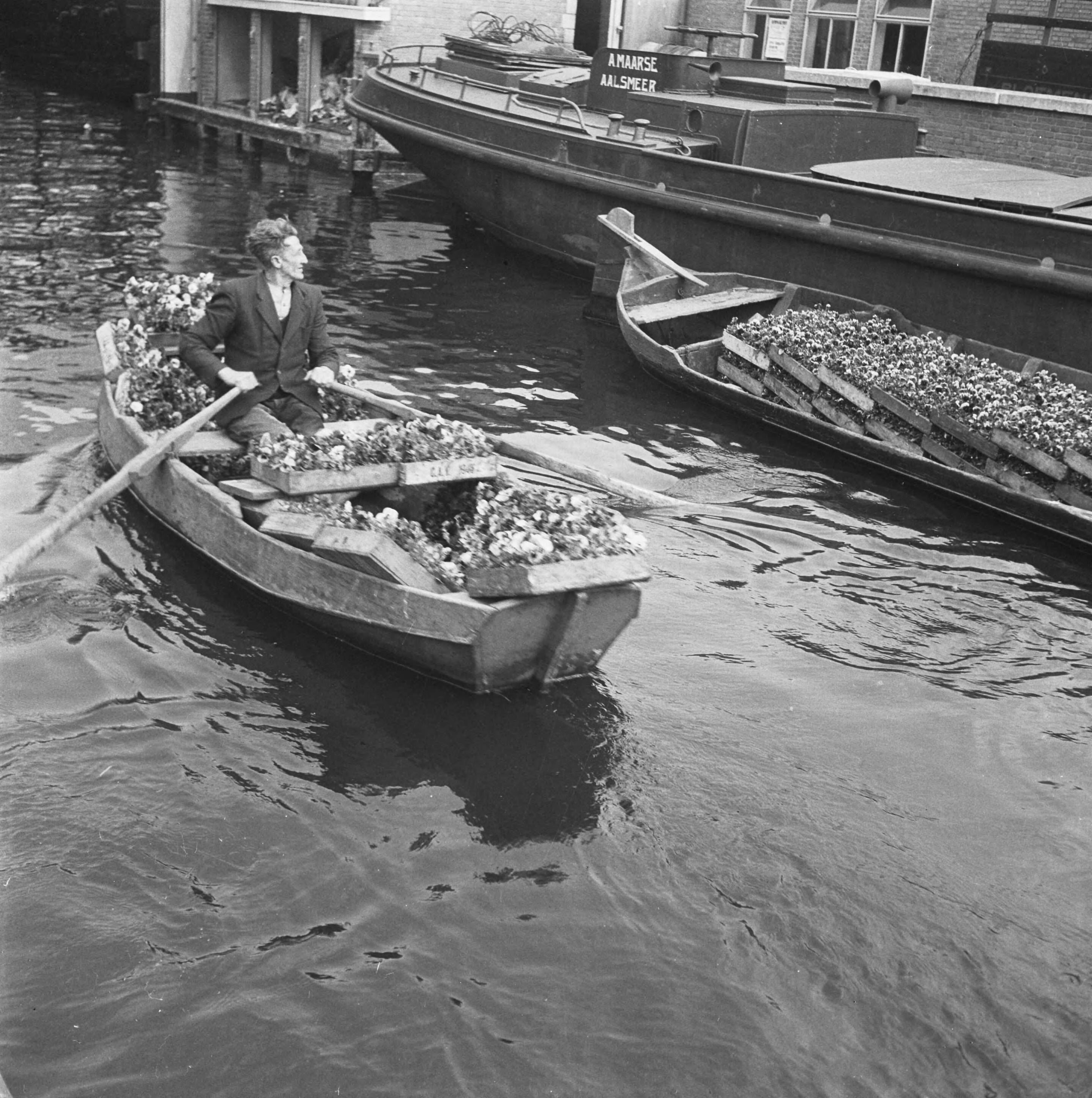 Fotocollectie Anefo — Aalsmeer — Foto: Wisman, Bram / Anefo. Licentie: Set B: Rechtenvrij / Publiek Domein. Bron: Nationaal Archief. http://hdl.handle.net/10648/a8a71628-d0b4-102d-bcf8-003048976d84
