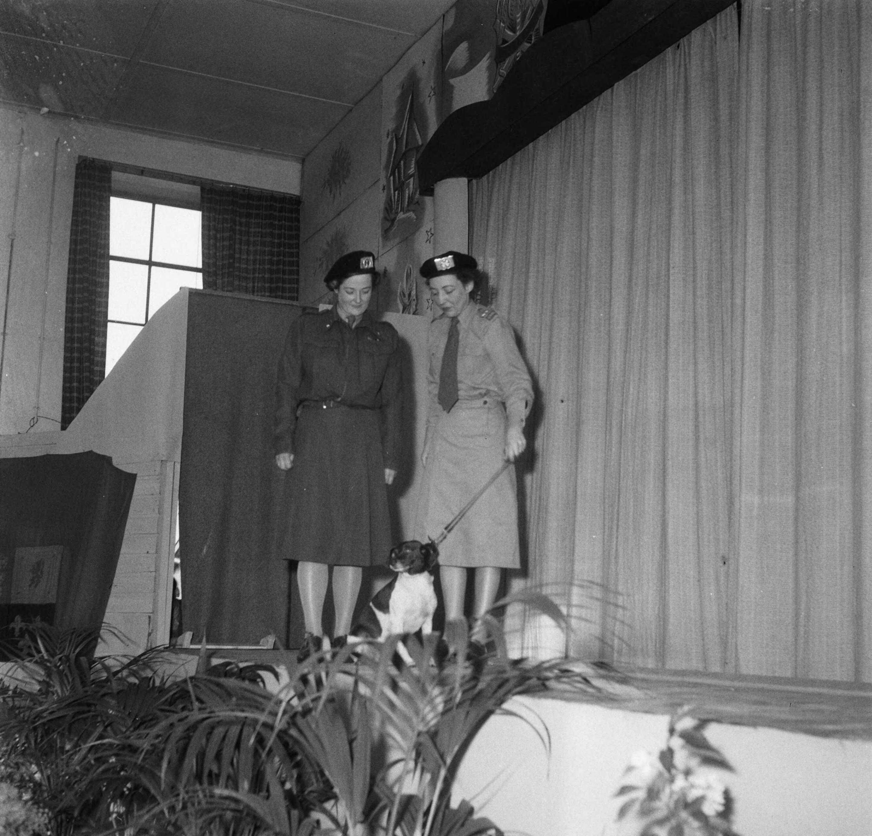 Fotocollectie Anefo — Vijf jarig bestaan VHK Den Haag — Foto: Oorschot, […] van / Anefo. Licentie: Set B: Rechtenvrij / Publiek Domein. Bron: Nationaal Archief. http://hdl.handle.net/10648/a8c6c09a-d0b4-102d-bcf8-003048976d84