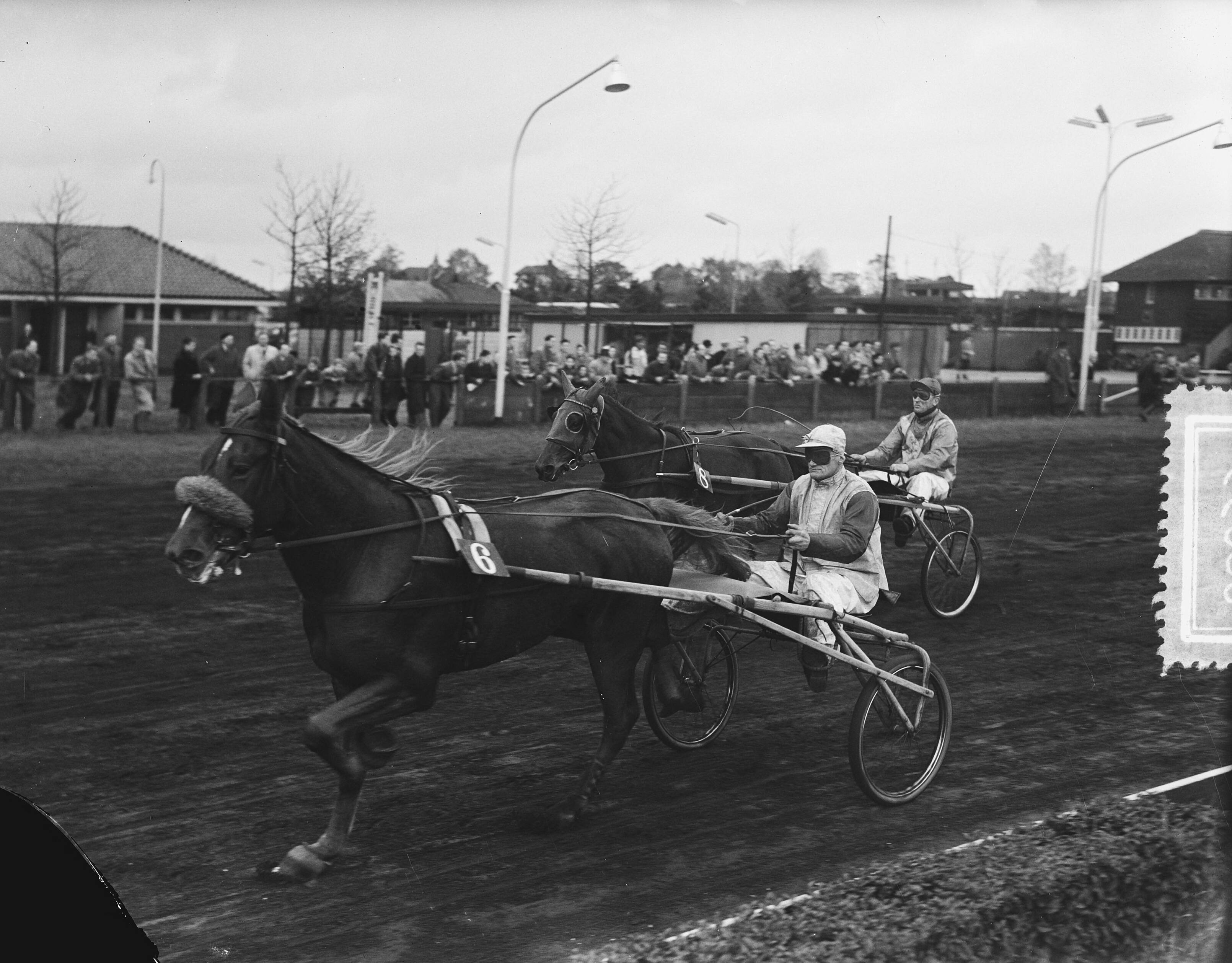 Fotocollectie Anefo — Nederlandse kampioenschap dames-pikeurs te Hilversum — Foto: Duinen, H. van / Anefo. Licentie: Set B: Rechtenvrij / Publiek Domein. Bron: Nationaal Archief. http://hdl.handle.net/10648/a92bd70a-d0b4-102d-bcf8-003048976d84