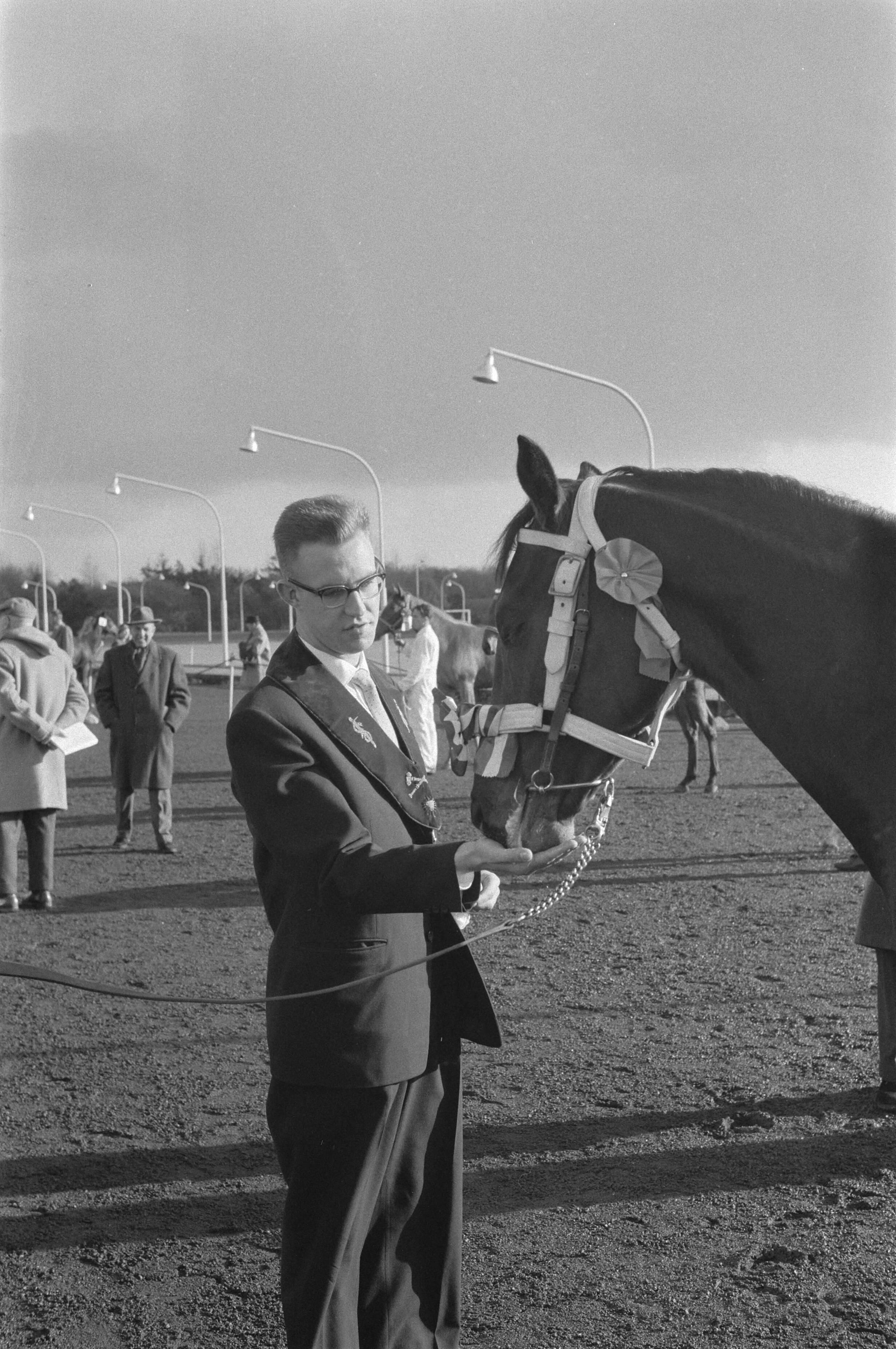 Fotocollectie Anefo — Paardenshow te Hilversum — Foto: Pot, Harry / Anefo. Licentie: Set B: Rechtenvrij / Publiek Domein. Bron: Nationaal Archief. http://hdl.handle.net/10648/a9bf9f94-d0b4-102d-bcf8-003048976d84