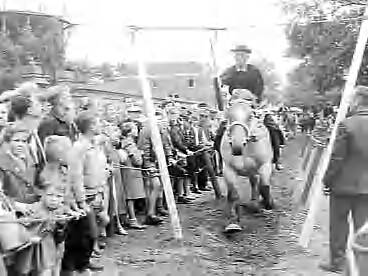 Fotocollectie Anefo — Ringrijderij in Middelburg om het kampioenschap van Nederland — Foto: Noske, J.D. / Anefo. Licentie: Set B: Rechtenvrij / Publiek Domein. Bron: Nationaal Archief. http://hdl.handle.net/10648/a9678be2-d0b4-102d-bcf8-003048976d84