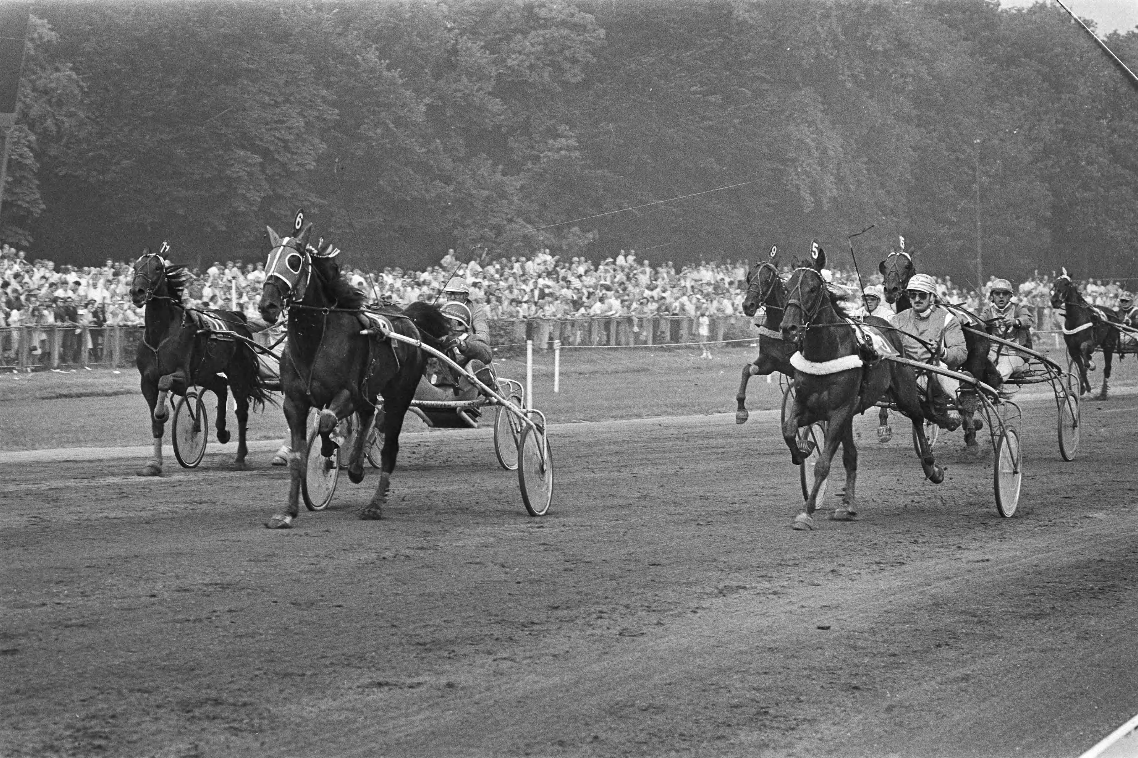 Fotocollectie Anefo — Derby Duindigt; no. 6 winnaar Vancouver Cede , no. 5: Volo Prise (no. 2), no. 11: Volta Rotary 3e) — Foto: Dijk, Hans van / Anefo. Licentie: Set B: Rechtenvrij / Publiek Domein. Bron: Nationaal Archief. http://hdl.handle.net/10648/ad1be08a-d0b4-102d-bcf8-003048976d84