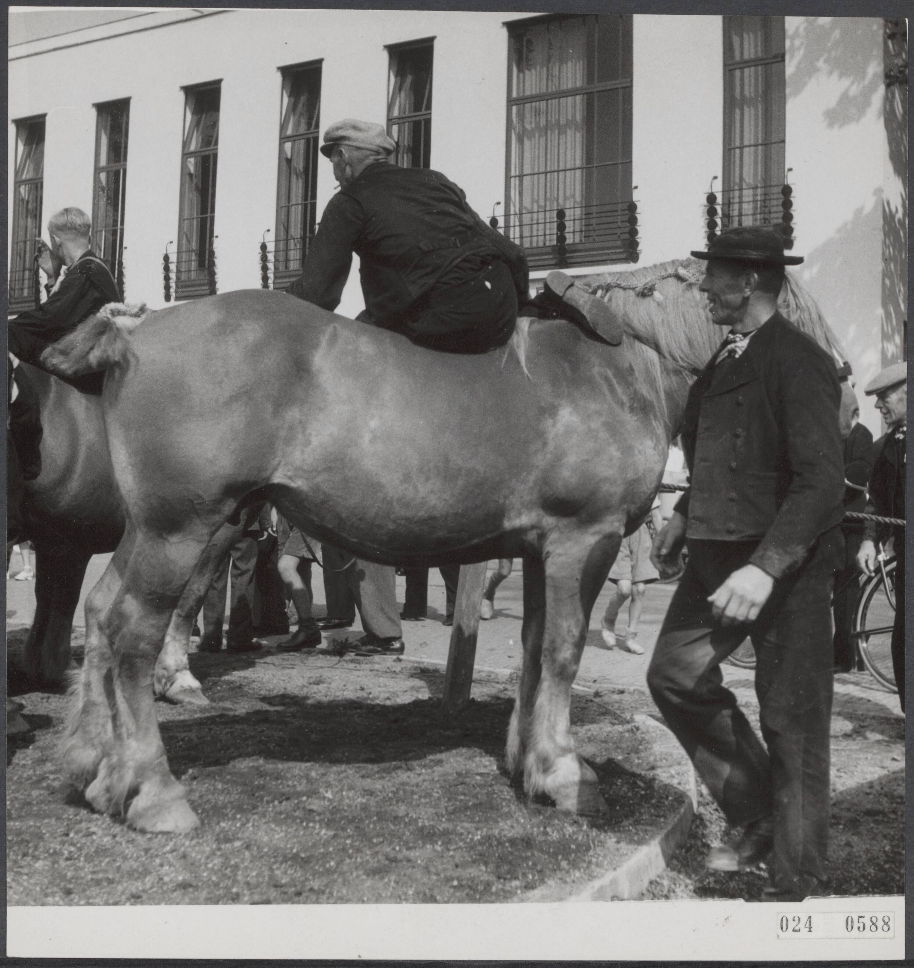 Fotocollectie Elsevier Binnenland — Ringsteken Middelburg.[paard en berijder] — Foto: Noske, J.D. / Anefo. Licentie: Set B: Rechtenvrij / Publiek Domein. Bron: Nationaal Archief. http://hdl.handle.net/10648/add7e424-d0b4-102d-bcf8-003048976d84