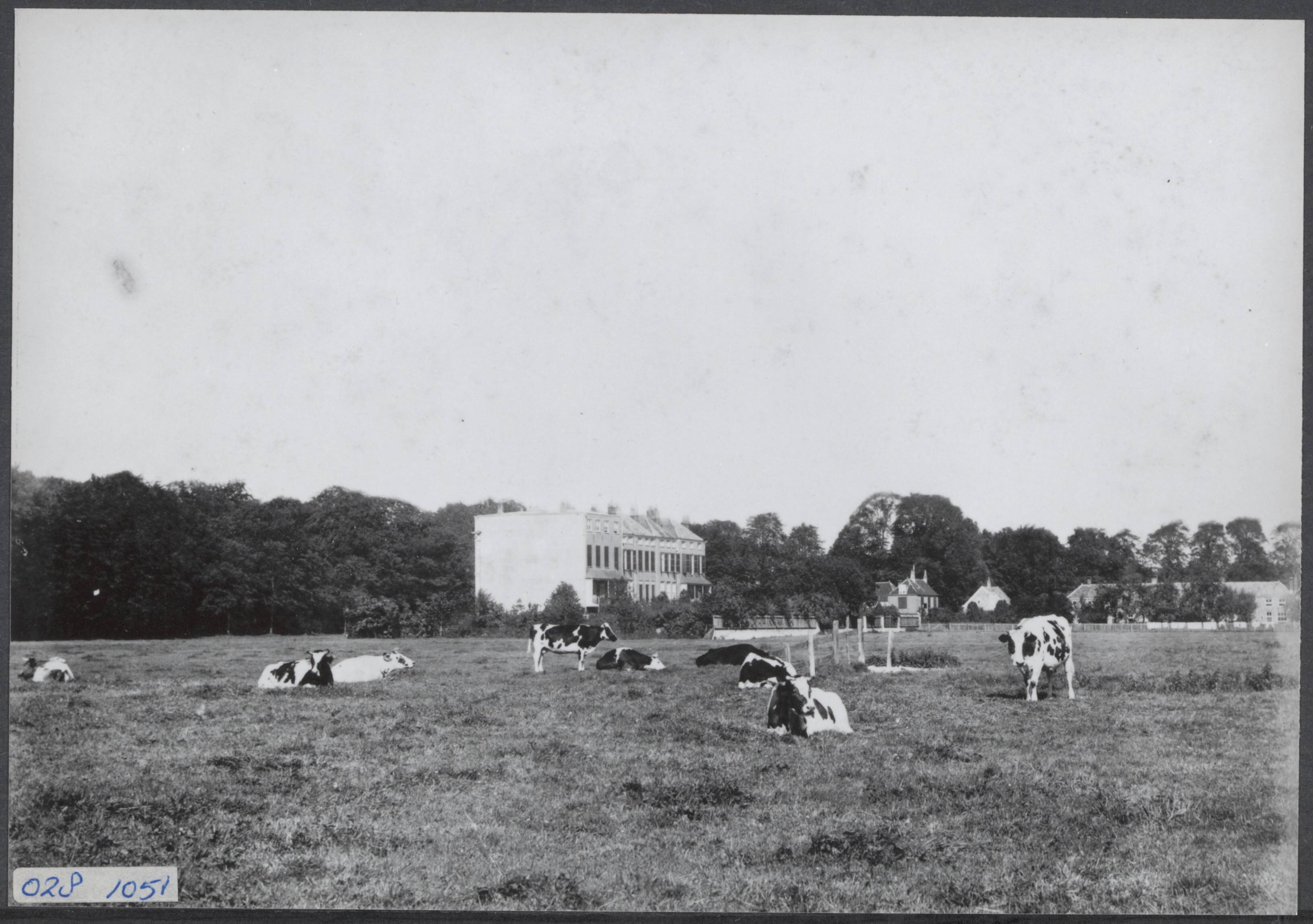 Fotocollectie Elsevier Binnenland — Weilanden tussen Den Haag en Scheveningen — Foto: Onbekend / Publiek Domein of Rechtenvrij. Licentie: Set B: Rechtenvrij / Publiek Domein. Bron: Nationaal Archief. http://hdl.handle.net/10648/addfa038-d0b4-102d-bcf8-003048976d84