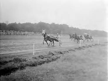 Fotocollectie Anefo — Draverijen en paardenrennen op Duindigt — Foto: Bilsen, Joop van / Anefo. Licentie: Set B: Rechtenvrij / Publiek Domein. Bron: Nationaal Archief. http://hdl.handle.net/10648/a96a913e-d0b4-102d-bcf8-003048976d84