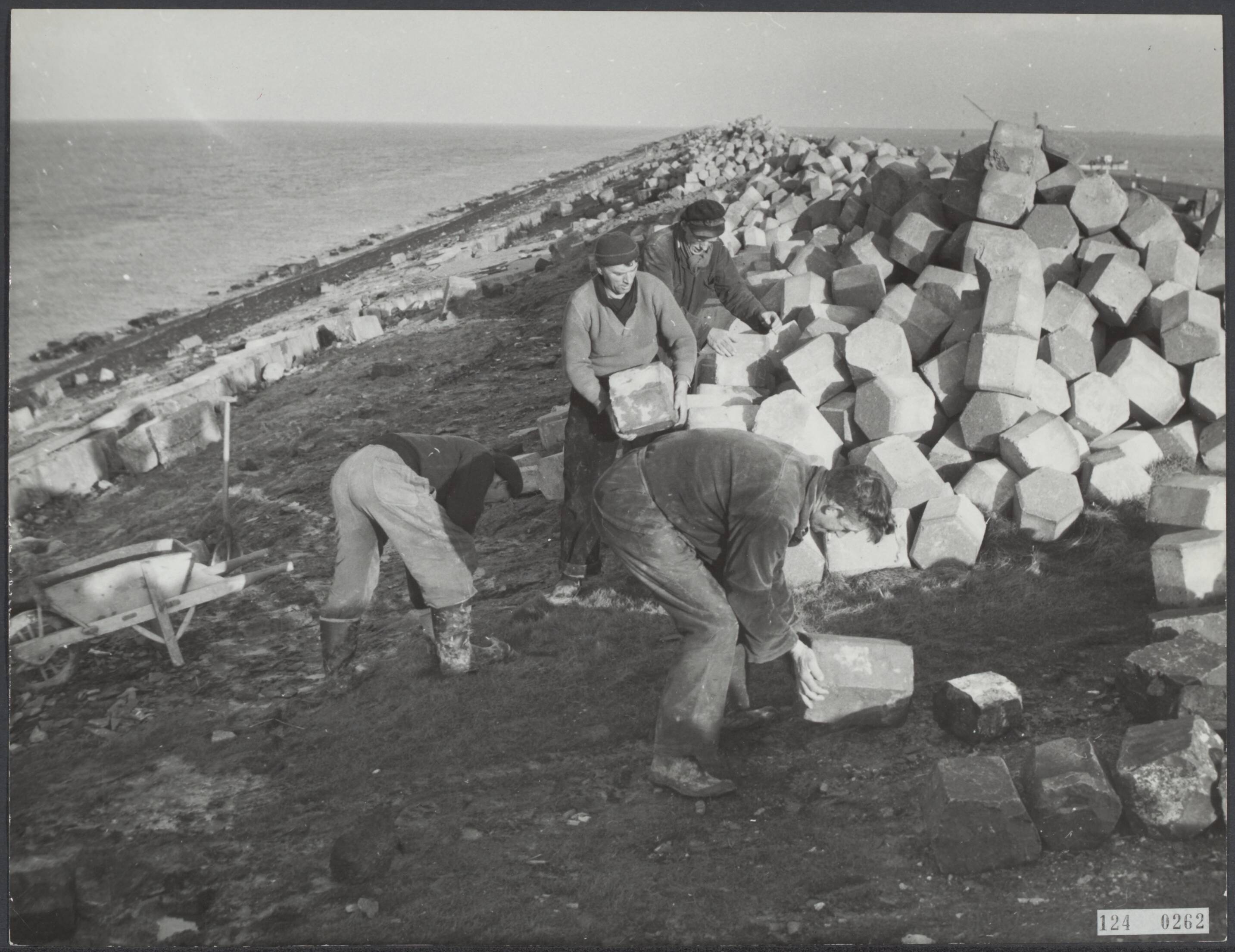 Fotocollectie Rijksvoorlichtingsdienst Eigen — Dijkwerkers brengen een beschoeiing van basaltblokken aan op de Hondsbosse Zeewering (begin december 1954) — Foto: ANP / RVD of rechtenvrij. Licentie: Set B: Rechtenvrij / Publiek Domein. Bron: Nationaal Archief. http://hdl.handle.net/10648/af319310-d0b4-102d-bcf8-003048976d84