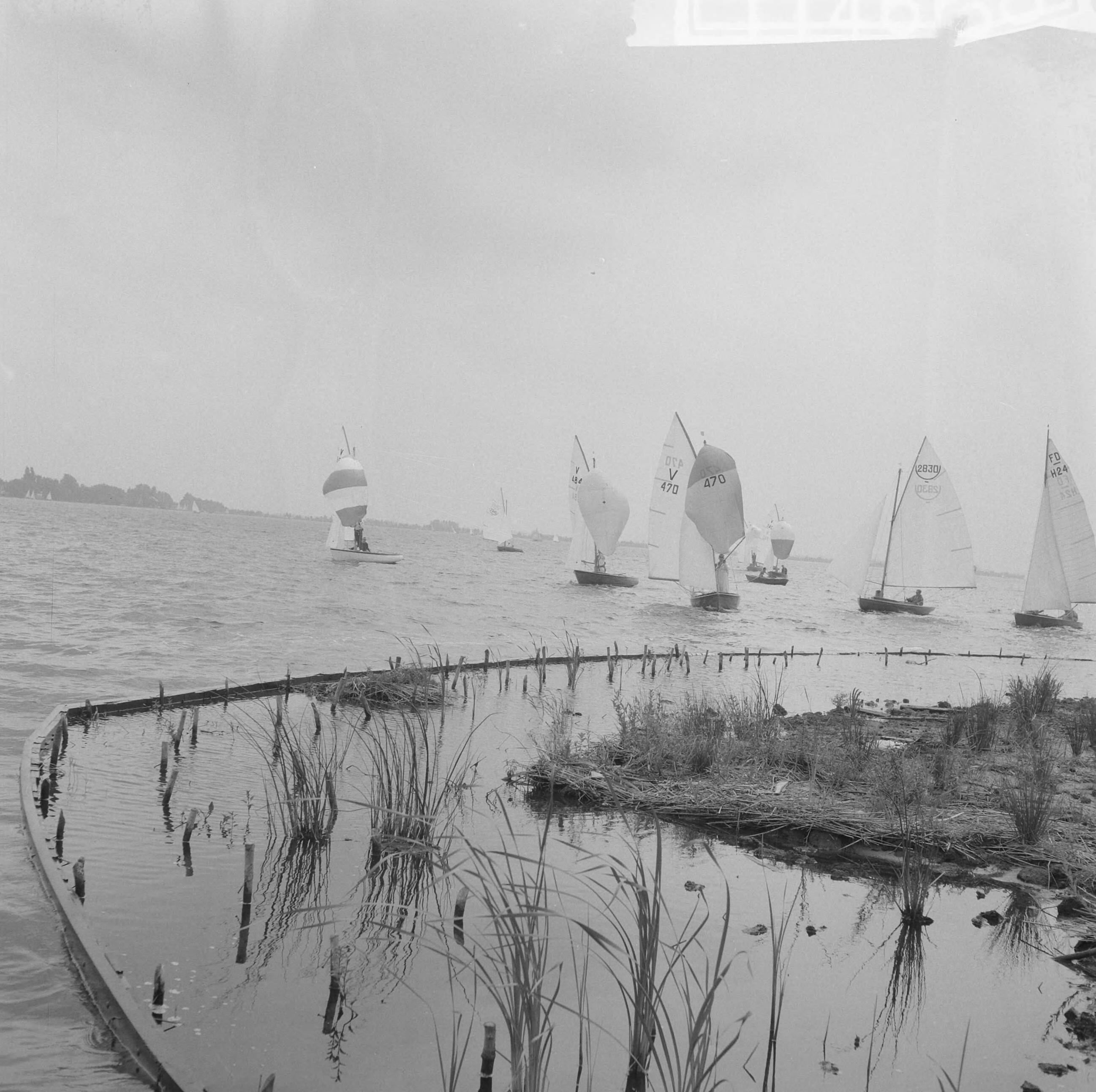 Fotocollectie Anefo — Internationale Hollandweek te Loosdrecht — Foto: Behrens, Herbert F. / Anefo. Licentie: Set B: Rechtenvrij / Publiek Domein. Bron: Nationaal Archief. http://hdl.handle.net/10648/a9b59242-d0b4-102d-bcf8-003048976d84