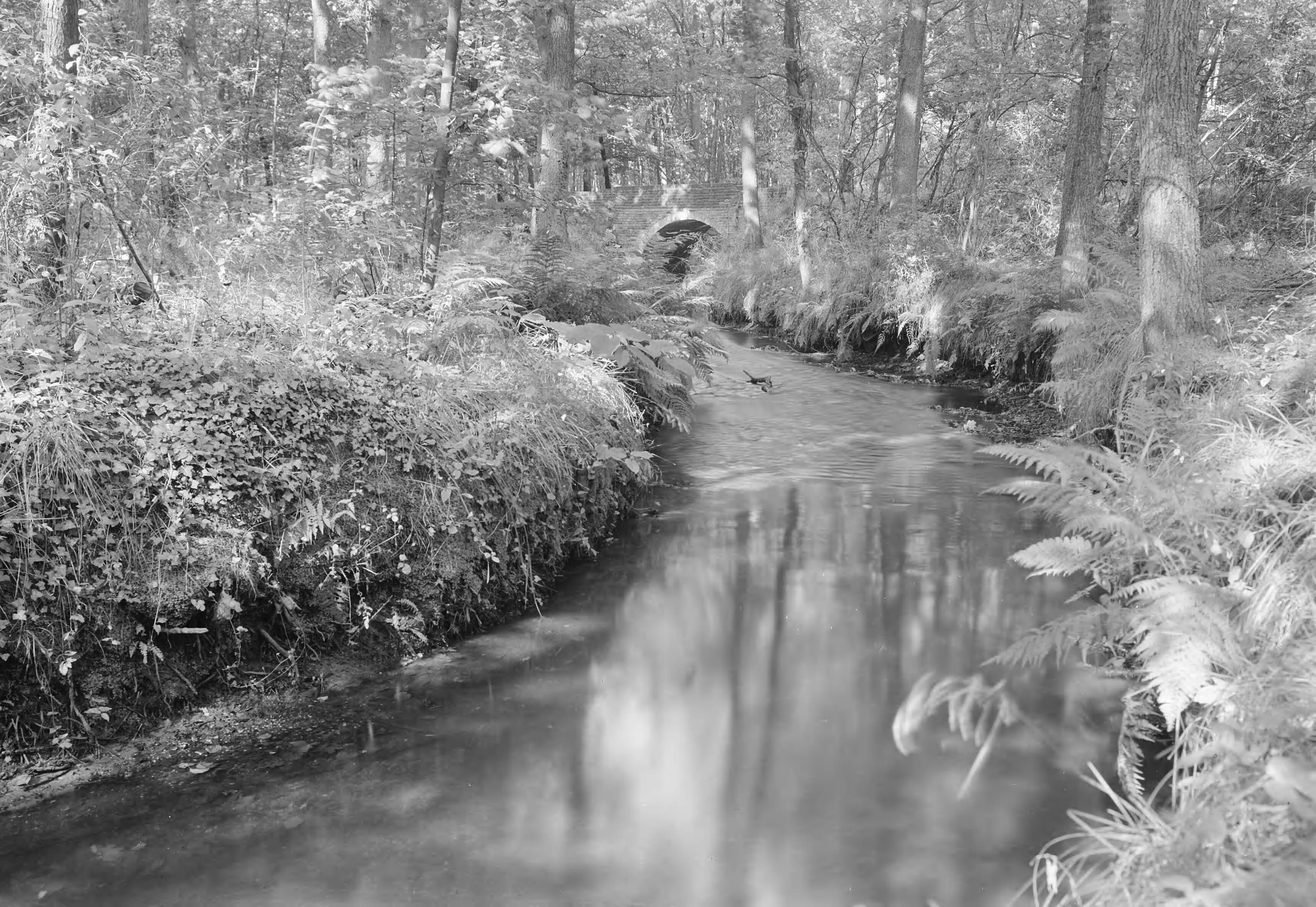 Fotocollectie Nederlandse Heidemaatschappij — De Reusel "Landgoed Utrecht" — Foto: Fotograaf Onbekend / Heidemij. Licentie: Set B: Rechtenvrij / Publiek Domein. Bron: Nationaal Archief. http://hdl.handle.net/10648/ae733294-d0b4-102d-bcf8-003048976d84