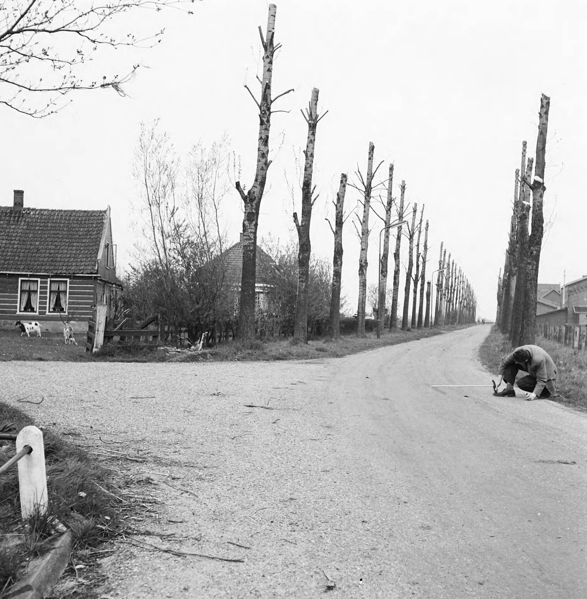 Fotocollectie Nederlandse Heidemaatschappij — Te verbeteren weg in de geemente Oosthuizen. Oude toestand — Foto: Wüllschleger, [...] / Heidemij. Licentie: Set B: Rechtenvrij / Publiek Domein. Bron: Nationaal Archief. http://hdl.handle.net/10648/ae7286be-d0b4-102d-bcf8-003048976d84