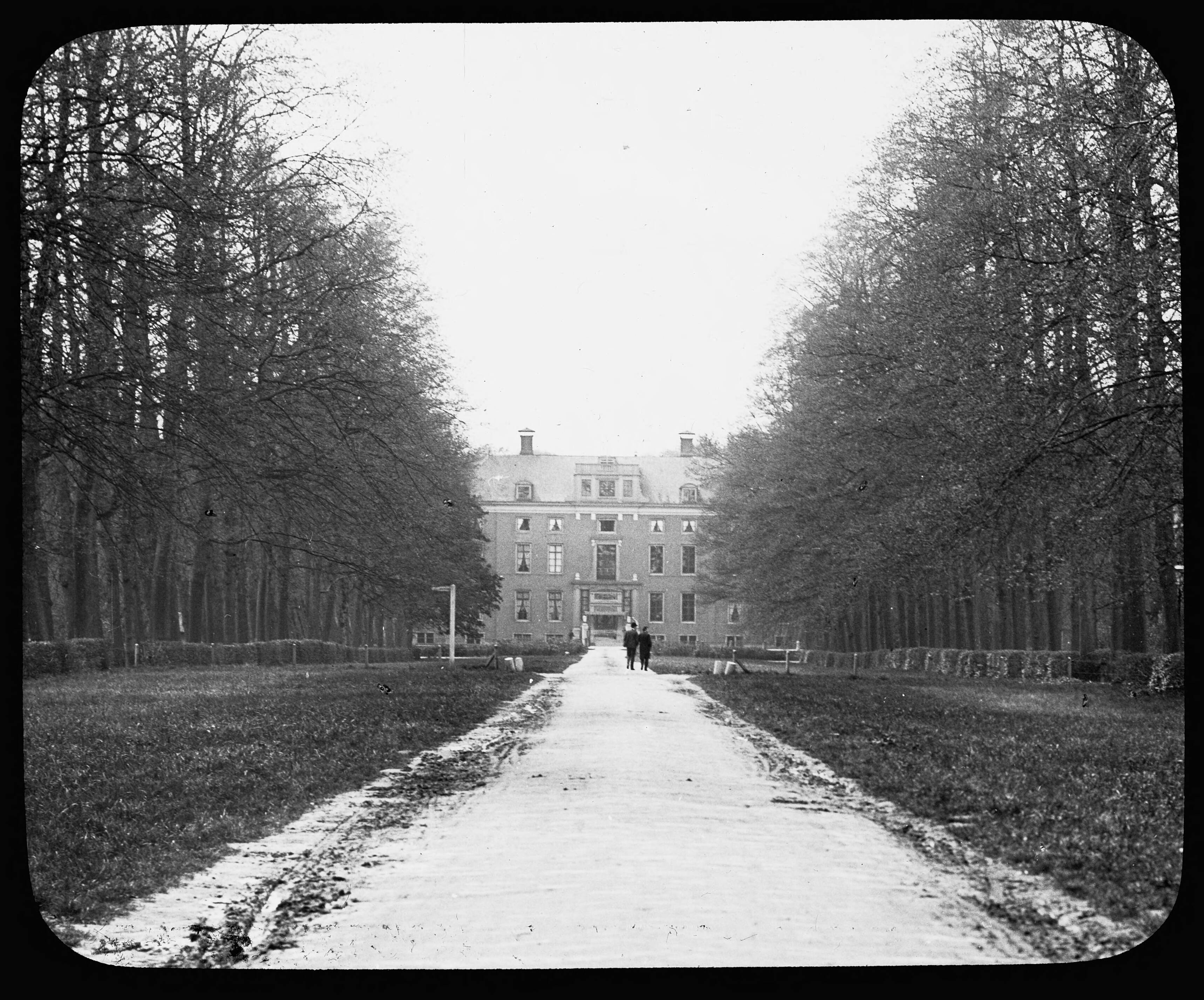 Fotocollectie Nederlandse Heidemaatschappij — Zeist|loofhout |bomen |bossen |lanen |botanisch|Utrecht — Foto: Fotograaf Onbekend / Heidemij. Licentie: Set B: Rechtenvrij / Publiek Domein. Bron: Nationaal Archief. http://hdl.handle.net/10648/ae46ae22-d0b4-102d-bcf8-003048976d84