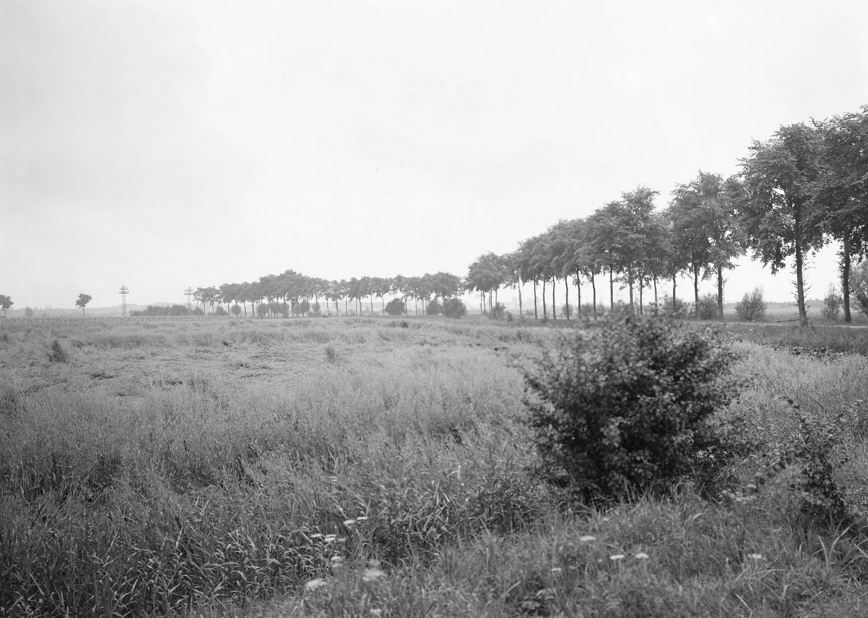 Fotocollectie Nederlandse Heidemaatschappij — Oude toestand Haagse Beemden — Foto: Eyssen, [...] / Heidemij. Licentie: Set B: Rechtenvrij / Publiek Domein. Bron: Nationaal Archief. http://hdl.handle.net/10648/ae6ef86e-d0b4-102d-bcf8-003048976d84