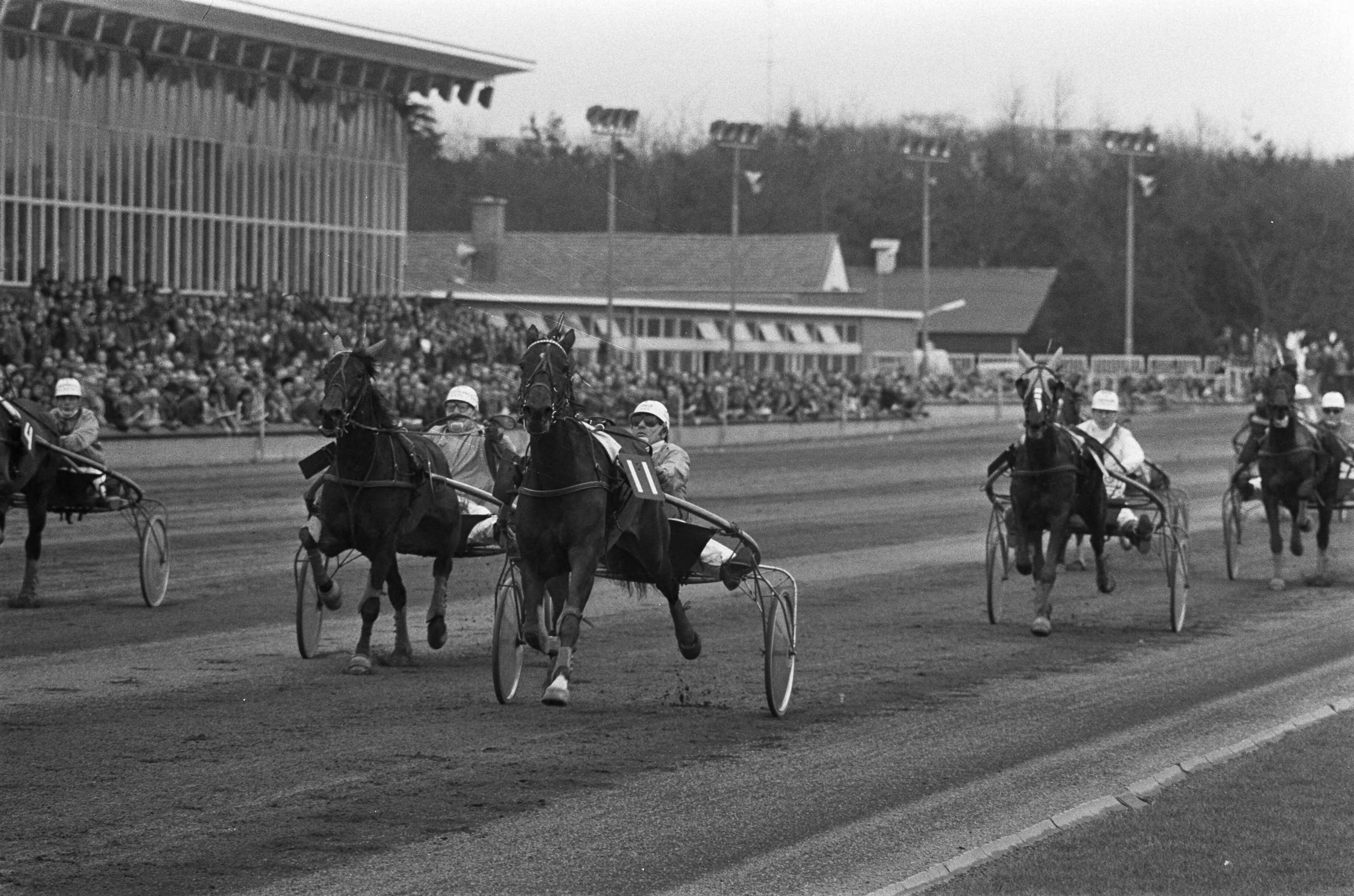 Fotocollectie Anefo — Rijders kampioenschap Pikeurs in Hilversum — Foto: Verhoeff, Bert / Anefo. Licentie: Set B: Rechtenvrij / Publiek Domein. Bron: Nationaal Archief. http://hdl.handle.net/10648/ac276f5a-d0b4-102d-bcf8-003048976d84