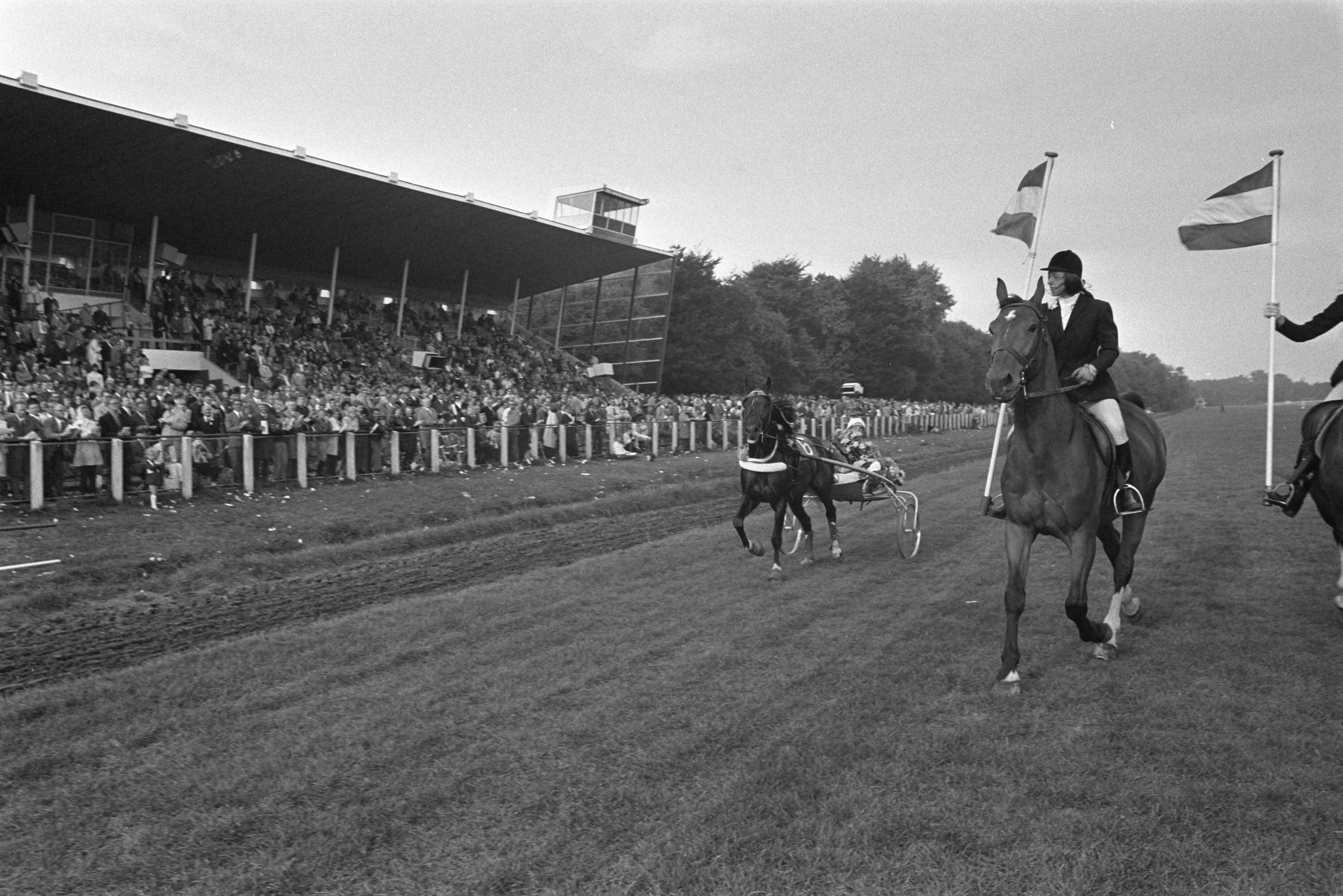 Fotocollectie Anefo — Draverijen op Duindigt — Foto: Mieremet, Rob / Anefo. Licentie: Set B: Rechtenvrij / Publiek Domein. Bron: Nationaal Archief. http://hdl.handle.net/10648/abd0632c-d0b4-102d-bcf8-003048976d84
