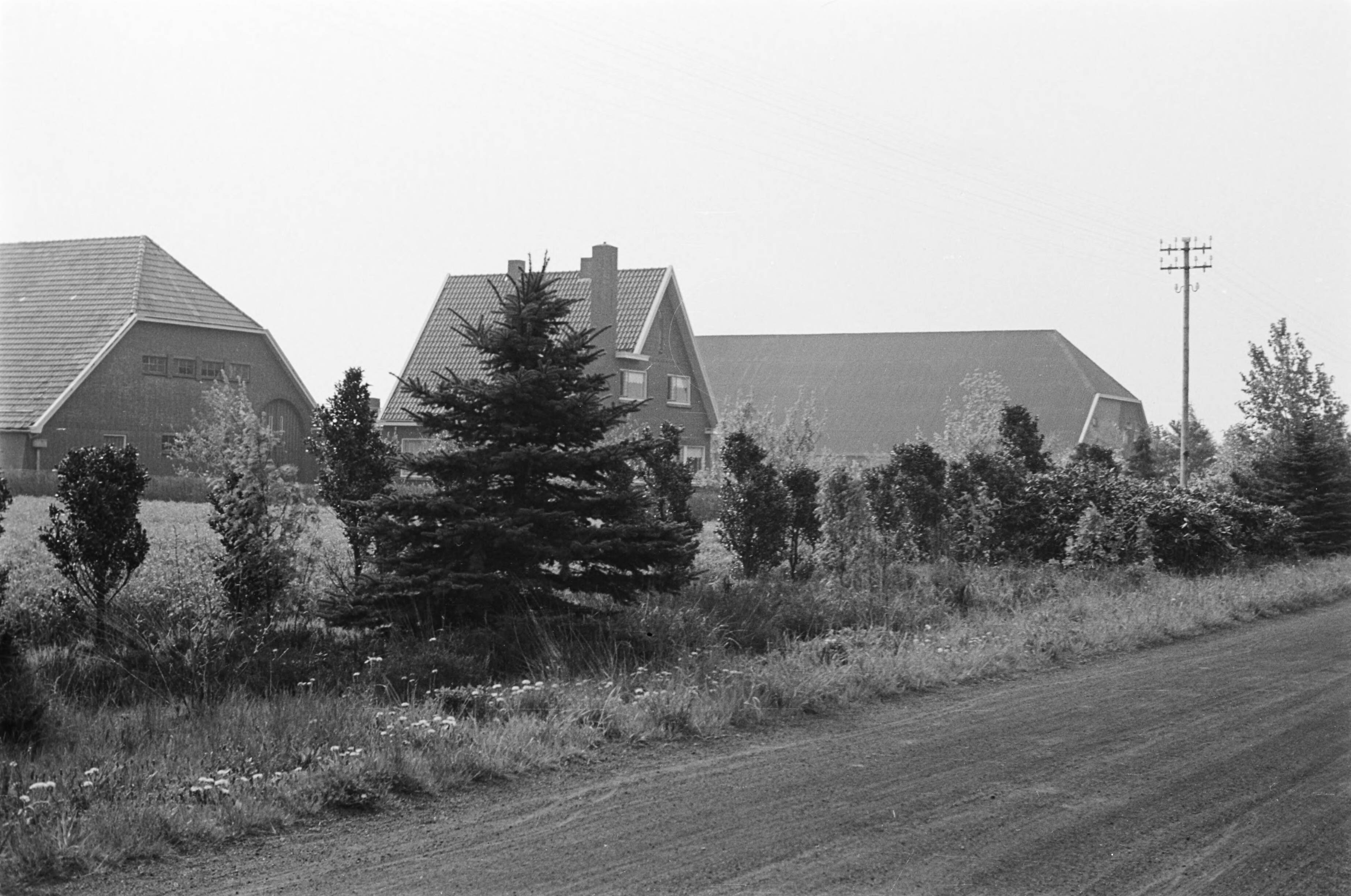 Fotocollectie Nederlandse Heidemaatschappij — ontginningsboerderijen|Groningen — Foto: Fotograaf Onbekend / Heidemij. Licentie: Set B: Rechtenvrij / Publiek Domein. Bron: Nationaal Archief. http://hdl.handle.net/10648/ae892572-d0b4-102d-bcf8-003048976d84