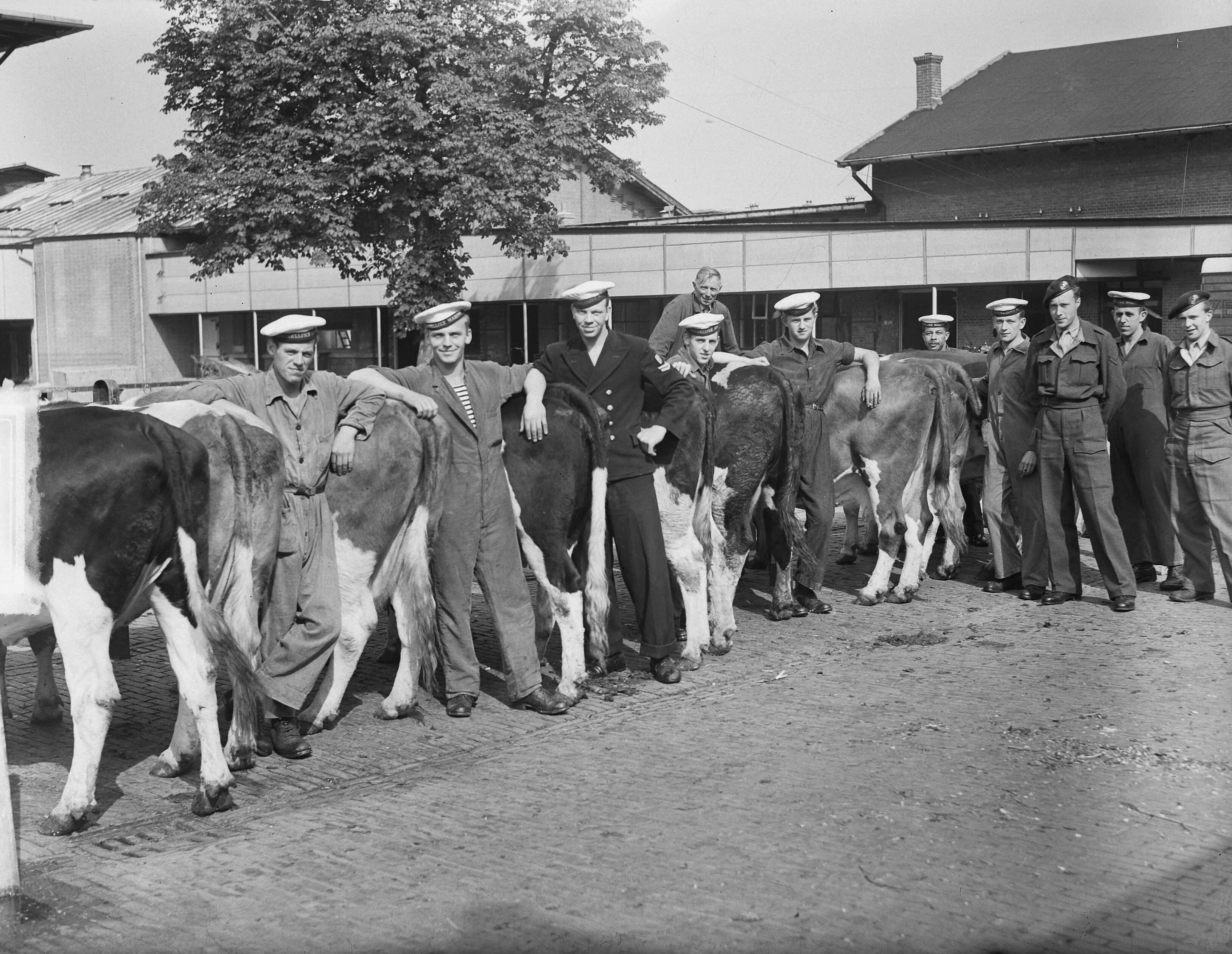 Fotocollectie Anefo — Commissie MOC Hilversum Le Grand op abattoir Utrecht — Foto: Oorschot, […] van / Anefo. Licentie: Set B: Rechtenvrij / Publiek Domein. Bron: Nationaal Archief. http://hdl.handle.net/10648/a8ce155c-d0b4-102d-bcf8-003048976d84