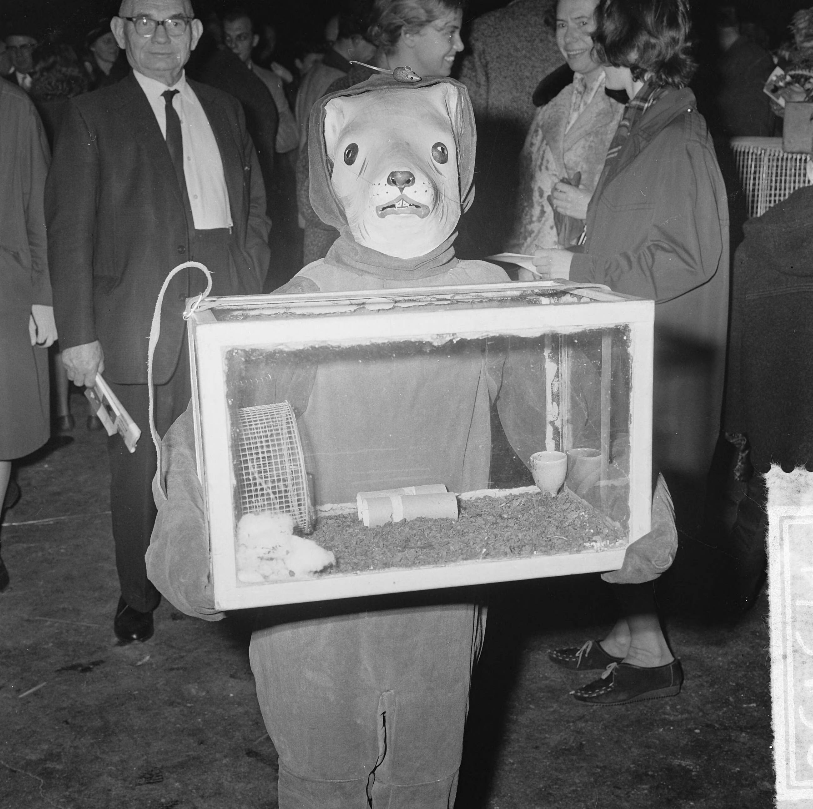 Fotocollectie Anefo — Vogeltentoonstelling Avicultura in de Houtrusthallen te Den Haag, deze jongen [verkleed als hond?] kwam zijn muis laten zien — Foto: Koch, Eric / Anefo. Licentie: Set B: Rechtenvrij / Publiek Domein. Bron: Nationaal Archief. http://hdl.handle.net/10648/aa8cd810-d0b4-102d-bcf8-003048976d84