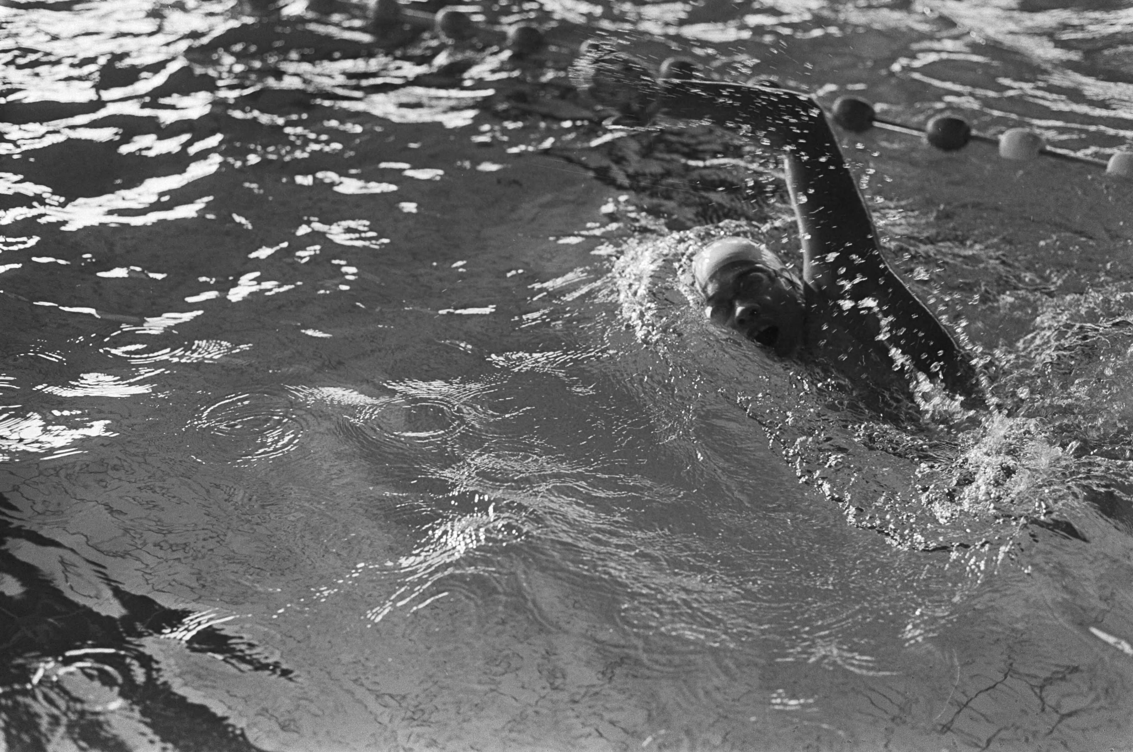 Fotocollectie Anefo — Nationale winterzwemkampioenschappen Utrecht; Enith Brigitha in aktie — Foto: Peters, Hans / Anefo. Licentie: Set B: Rechtenvrij / Publiek Domein. Bron: Nationaal Archief. http://hdl.handle.net/10648/ac7eb490-d0b4-102d-bcf8-003048976d84