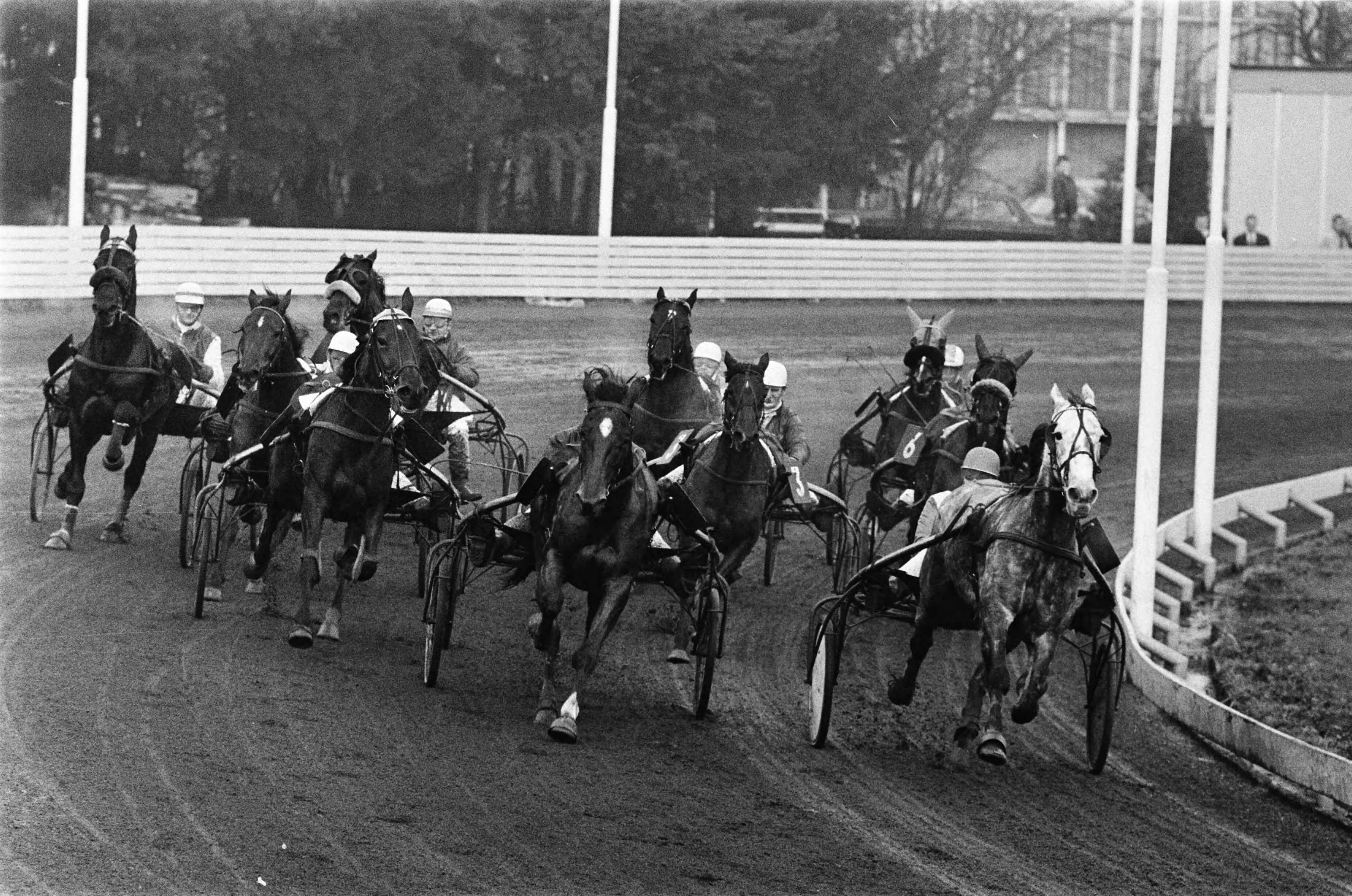 Fotocollectie Anefo — Draverijen om Kerstprijs op renbaan te Hilversum. Rechts vooraan Calumet Bulwark en geheel links Yellow Six — Foto: Koch, Eric / Anefo. Licentie: Set B: Rechtenvrij / Publiek Domein. Bron: Nationaal Archief. http://hdl.handle.net/10648/ab871a32-d0b4-102d-bcf8-003048976d84