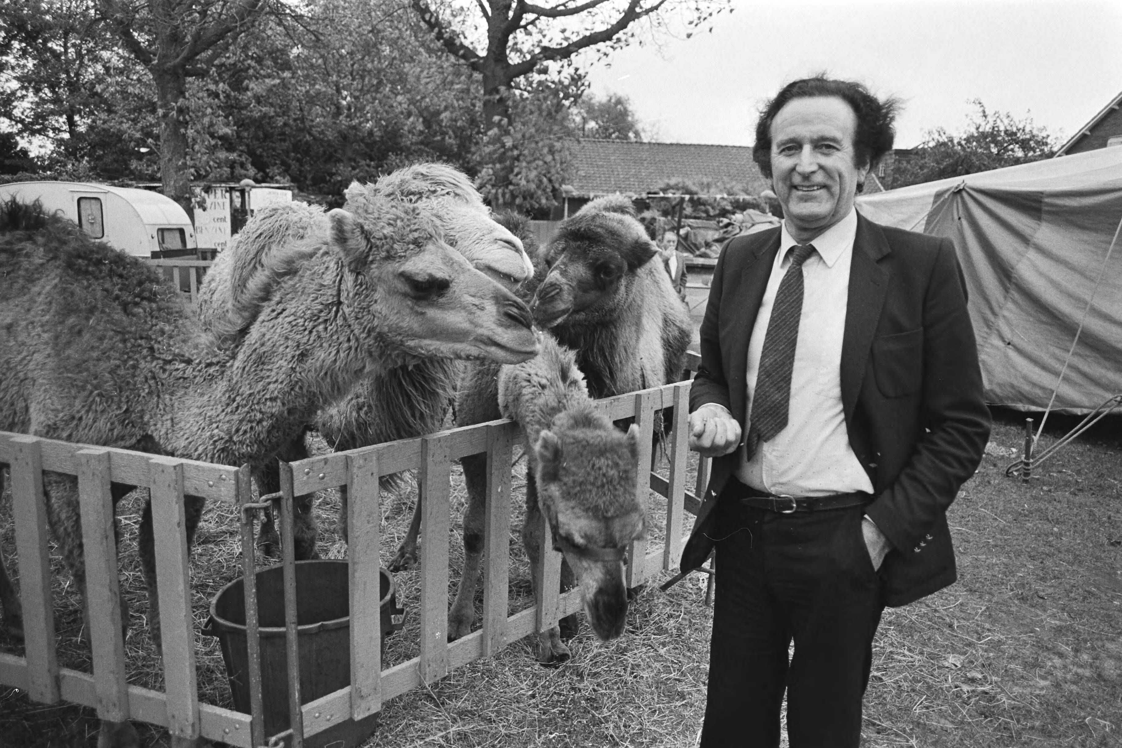Fotocollectie Anefo — Circus Toni Boltini heeft in Laren allerlaatste voorstelling gegeven, einde van bijna 40 jarig bestaan grootste circus van Nederland, Boltini (60) bij kamelen / — Foto: Antonisse, Marcel / Anefo. Licentie: Set B: Rechtenvrij / Publiek Domein. Bron: Nationaal Archief. http://hdl.handle.net/10648/acec250c-d0b4-102d-bcf8-003048976d84