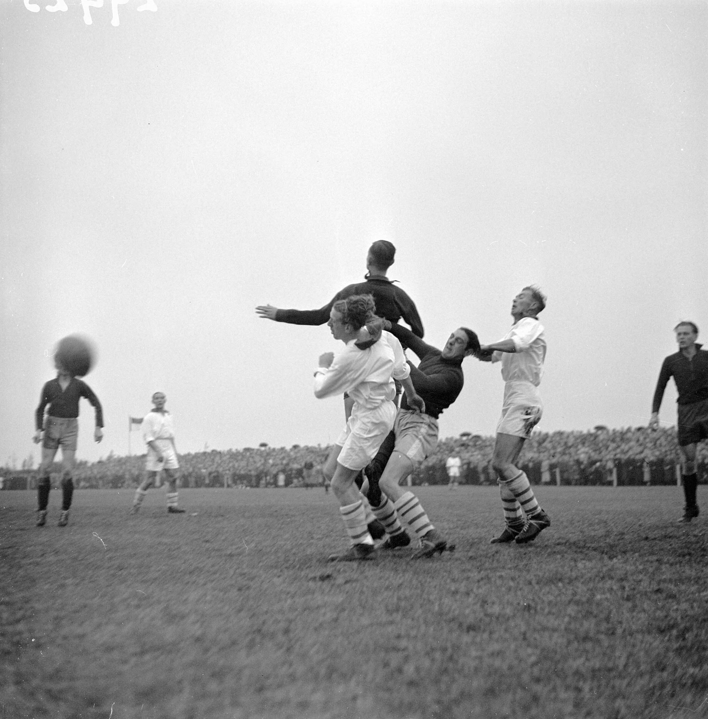 Fotocollectie Anefo — Voetbal. Zeeburgia tegen Haarlem 2-0. Wustenhoff in duel met Roszen — Foto: Valk, […] van der / Anefo. Licentie: Set B: Rechtenvrij / Publiek Domein. Bron: Nationaal Archief. http://hdl.handle.net/10648/a8af39f2-d0b4-102d-bcf8-003048976d84