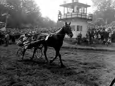 Fotocollectie Anefo — Draverijen op Duindigt — Foto: Behrens, Herbert F. / Anefo. Licentie: Set B: Rechtenvrij / Publiek Domein. Bron: Nationaal Archief. http://hdl.handle.net/10648/a97f6ce4-d0b4-102d-bcf8-003048976d84