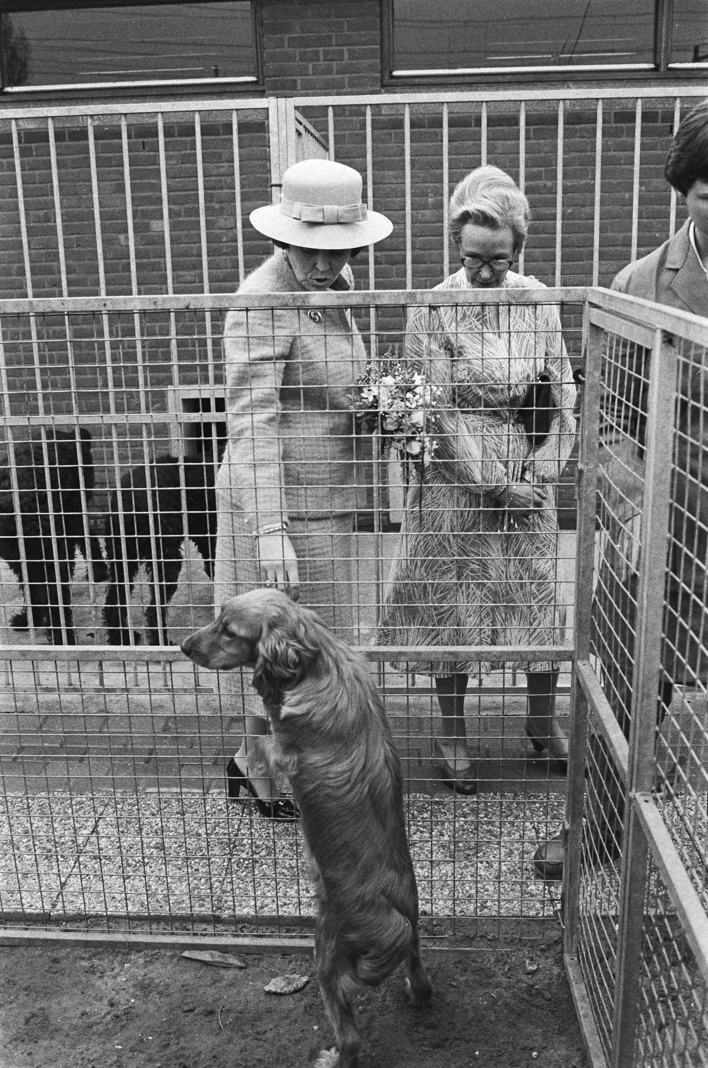 Fotocollectie Anefo — Beatrix opent het Haagse Dierencentrum in Den Haag . Beatrix tijdens de rondgang door de kennels, (r.) A. C.W. Vervoorn Malinosky Blom — Foto: Antonisse, Marcel / Anefo. Licentie: Set B: Rechtenvrij / Publiek Domein. Bron: Nationaal Archief. http://hdl.handle.net/10648/ad1367d4-d0b4-102d-bcf8-003048976d84