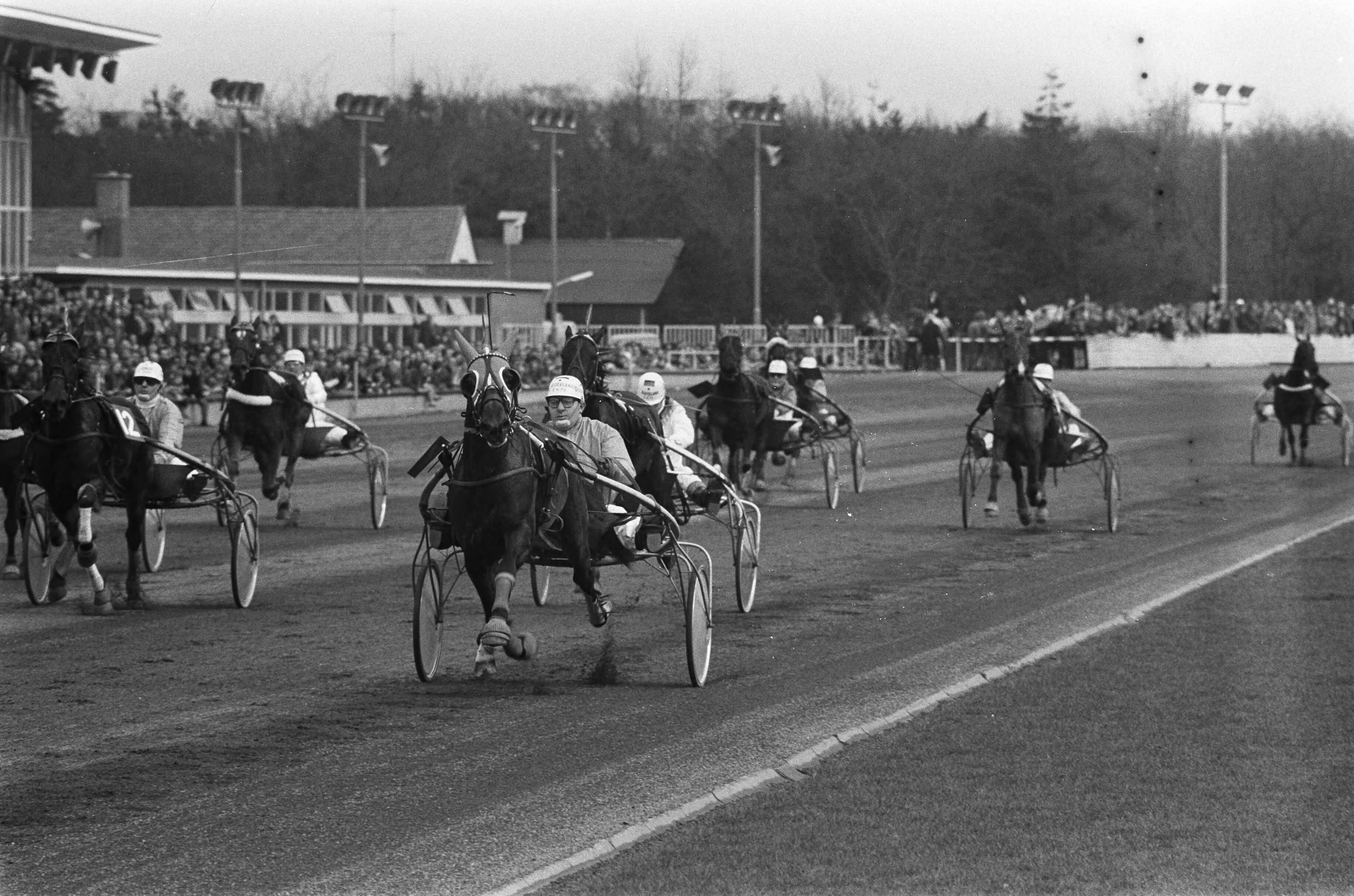 Fotocollectie Anefo — Rijders kampioenschap Pikeurs in Hilversum, Jan van Dooyeweerd in aktie — Foto: Verhoeff, Bert / Anefo. Licentie: Set B: Rechtenvrij / Publiek Domein. Bron: Nationaal Archief. http://hdl.handle.net/10648/ac276b18-d0b4-102d-bcf8-003048976d84