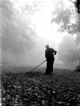 Fotocollectie Anefo — Herfst in de Haarlemmerhout in Haarlem — Foto: Pot, Harry / Anefo. Licentie: Set B: Rechtenvrij / Publiek Domein. Bron: Nationaal Archief. http://hdl.handle.net/10648/a96bf27c-d0b4-102d-bcf8-003048976d84