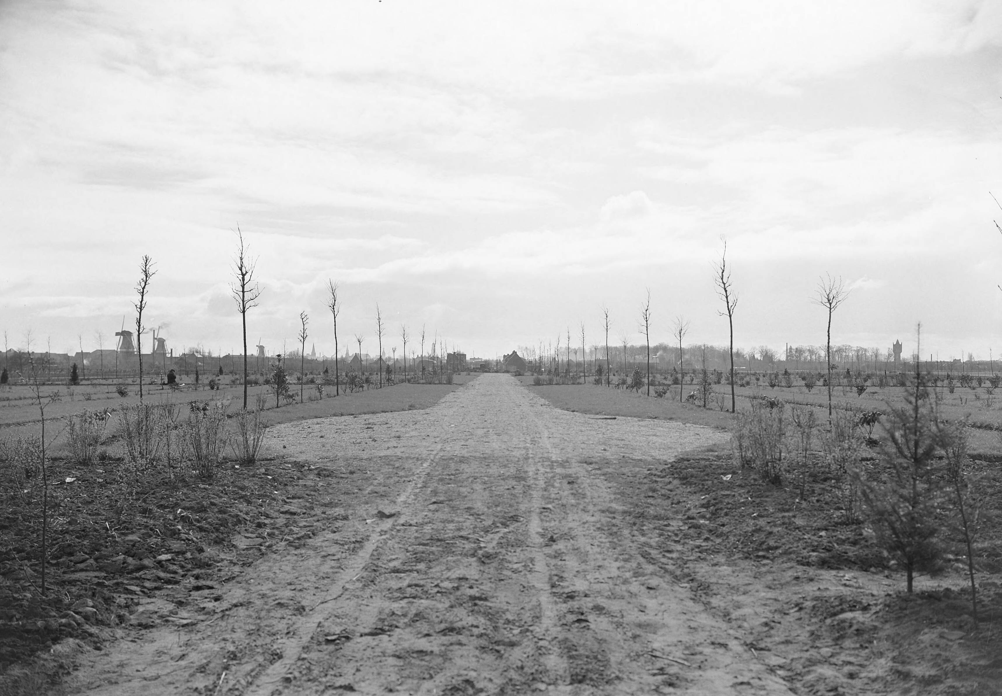 Fotocollectie Nederlandse Heidemaatschappij — Nieuwe begraafplaats Winschoten — Foto: Fotograaf Onbekend / Heidemij. Licentie: Set B: Rechtenvrij / Publiek Domein. Bron: Nationaal Archief. http://hdl.handle.net/10648/ae7808f0-d0b4-102d-bcf8-003048976d84