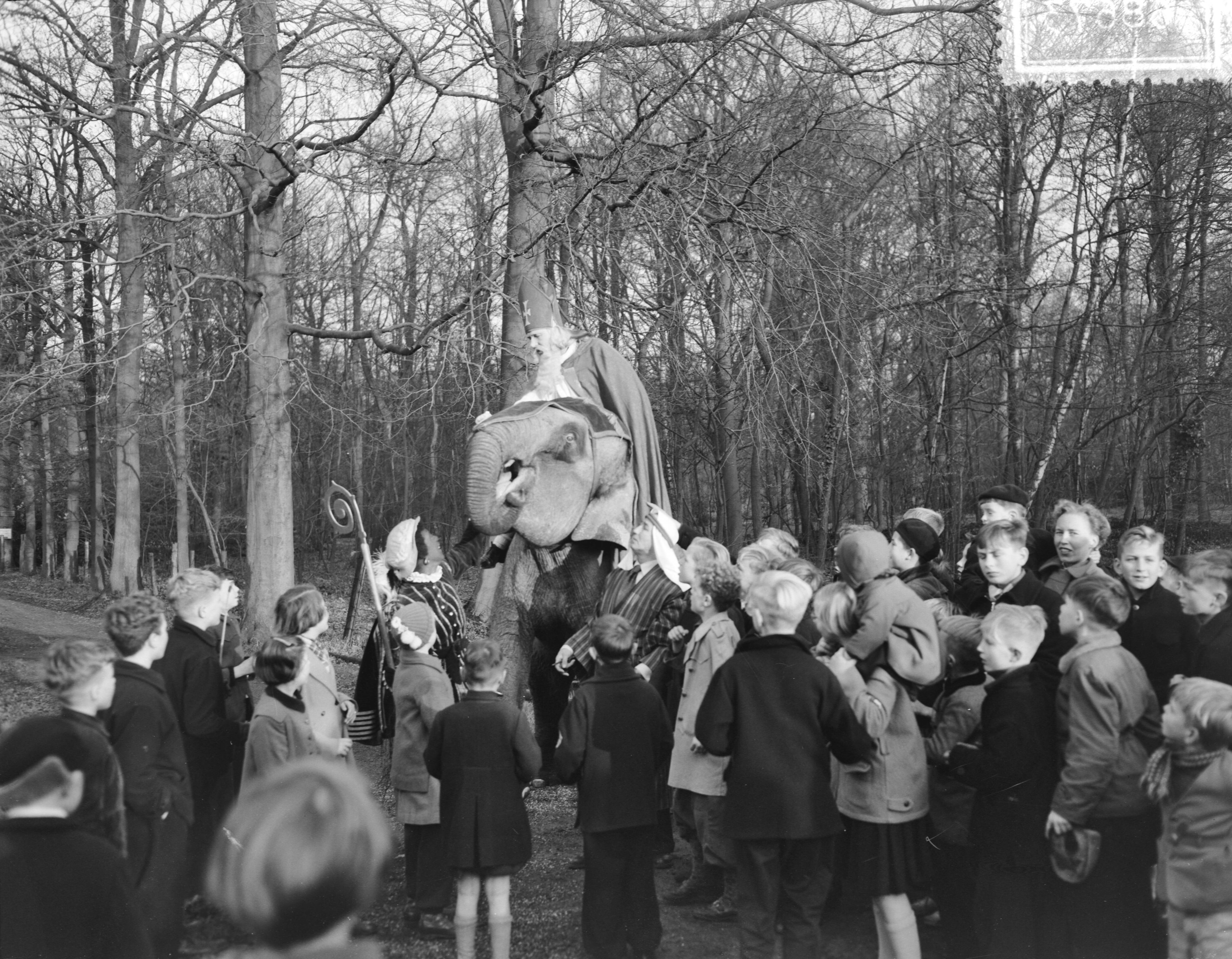 Fotocollectie Anefo — Sint Nicolaas op olifant bezoekt Chemische Fabriek te Naarden — Foto: Noske, J.D. / Anefo. Licentie: Set B: Rechtenvrij / Publiek Domein. Bron: Nationaal Archief. http://hdl.handle.net/10648/a92db250-d0b4-102d-bcf8-003048976d84