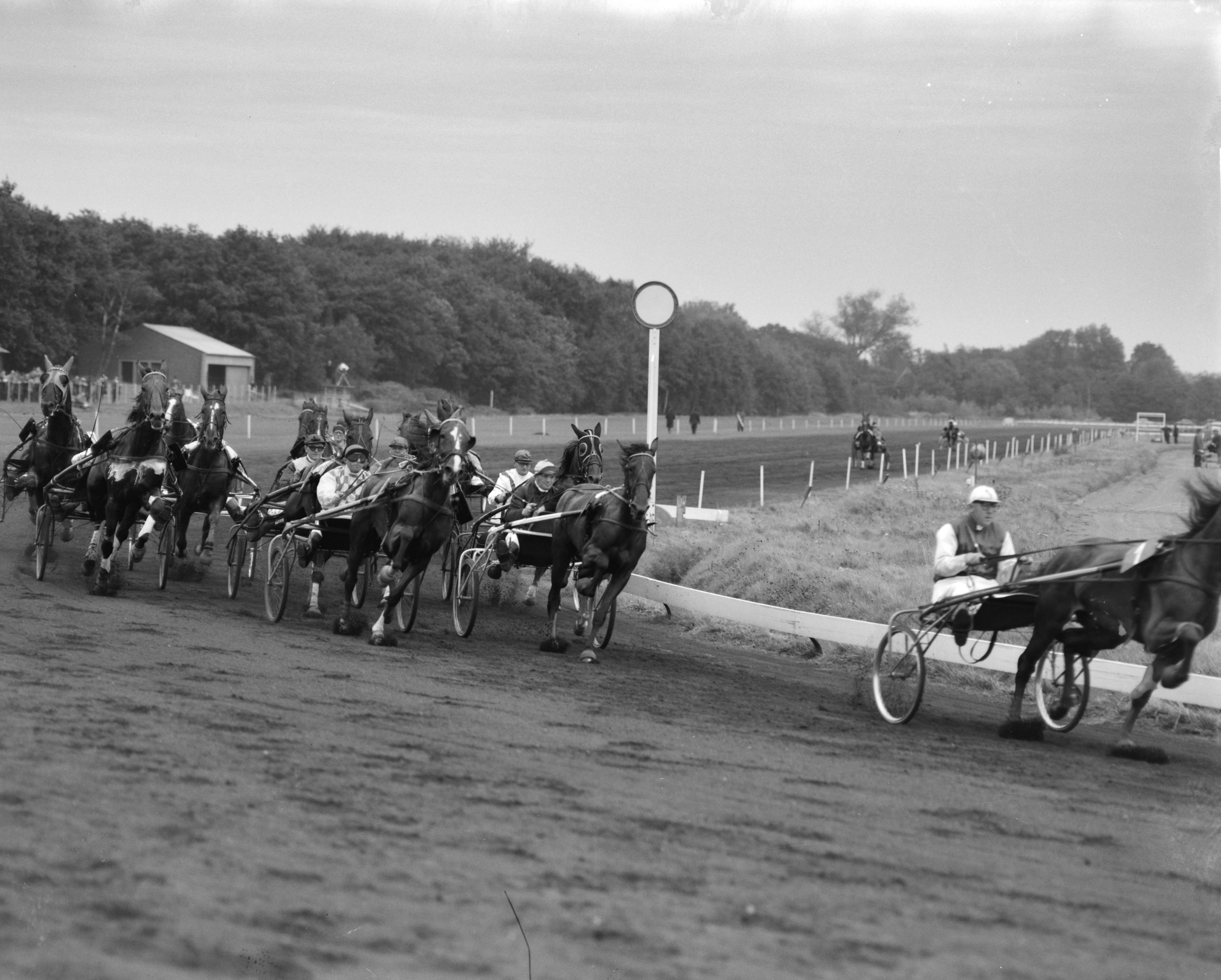 Fotocollectie Anefo — Draverijen te Duindigt — Foto: Bilsen, Joop van / Anefo. Licentie: Set B: Rechtenvrij / Publiek Domein. Bron: Nationaal Archief. http://hdl.handle.net/10648/aa1986e4-d0b4-102d-bcf8-003048976d84