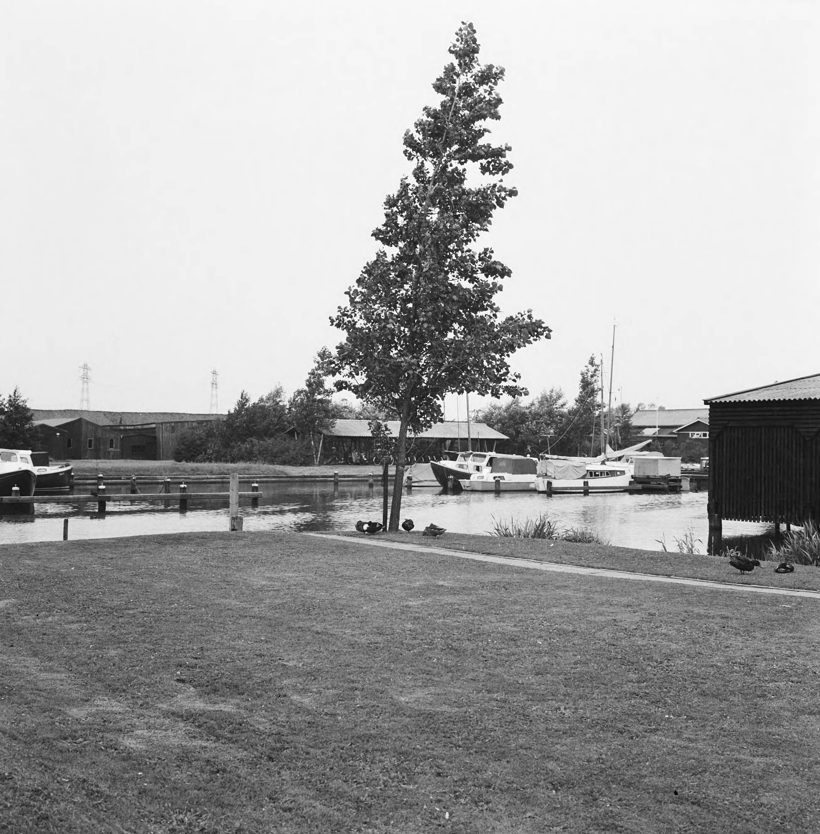 Fotocollectie Nederlandse Heidemaatschappij — Jachthaven Leeuwarden — Foto: Wüllschleger, [...] / Heidemij. Licentie: Set B: Rechtenvrij / Publiek Domein. Bron: Nationaal Archief. http://hdl.handle.net/10648/ae7a30d0-d0b4-102d-bcf8-003048976d84