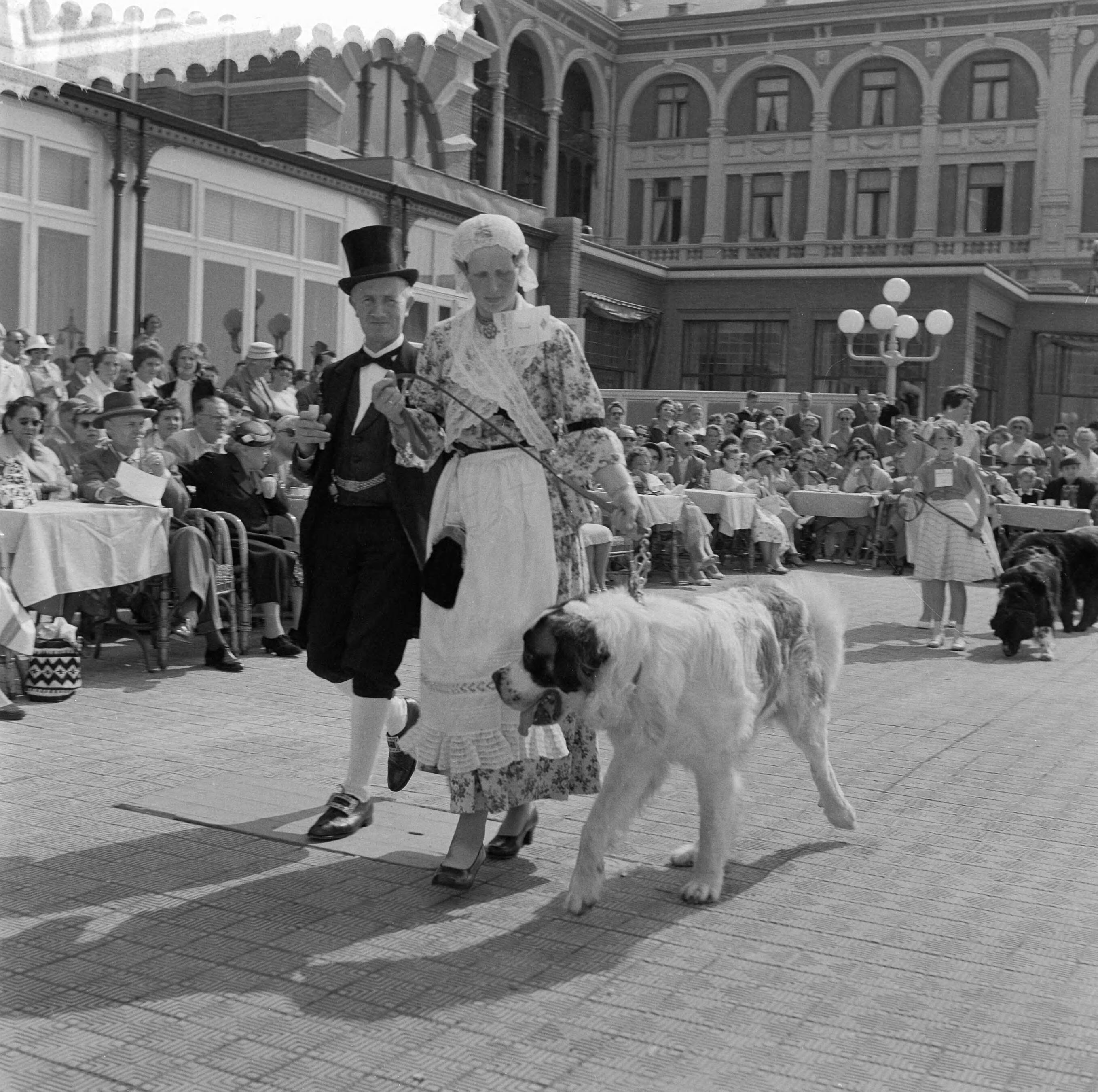 Fotocollectie Anefo — Hondenparade Kurzaalterras te Scheveningen. Paar in West-Friese klederdracht met St. Bernhardhond — Foto: Behrens, Herbert F. / Anefo. Licentie: Set B: Rechtenvrij / Publiek Domein. Bron: Nationaal Archief. http://hdl.handle.net/10648/a9668422-d0b4-102d-bcf8-003048976d84