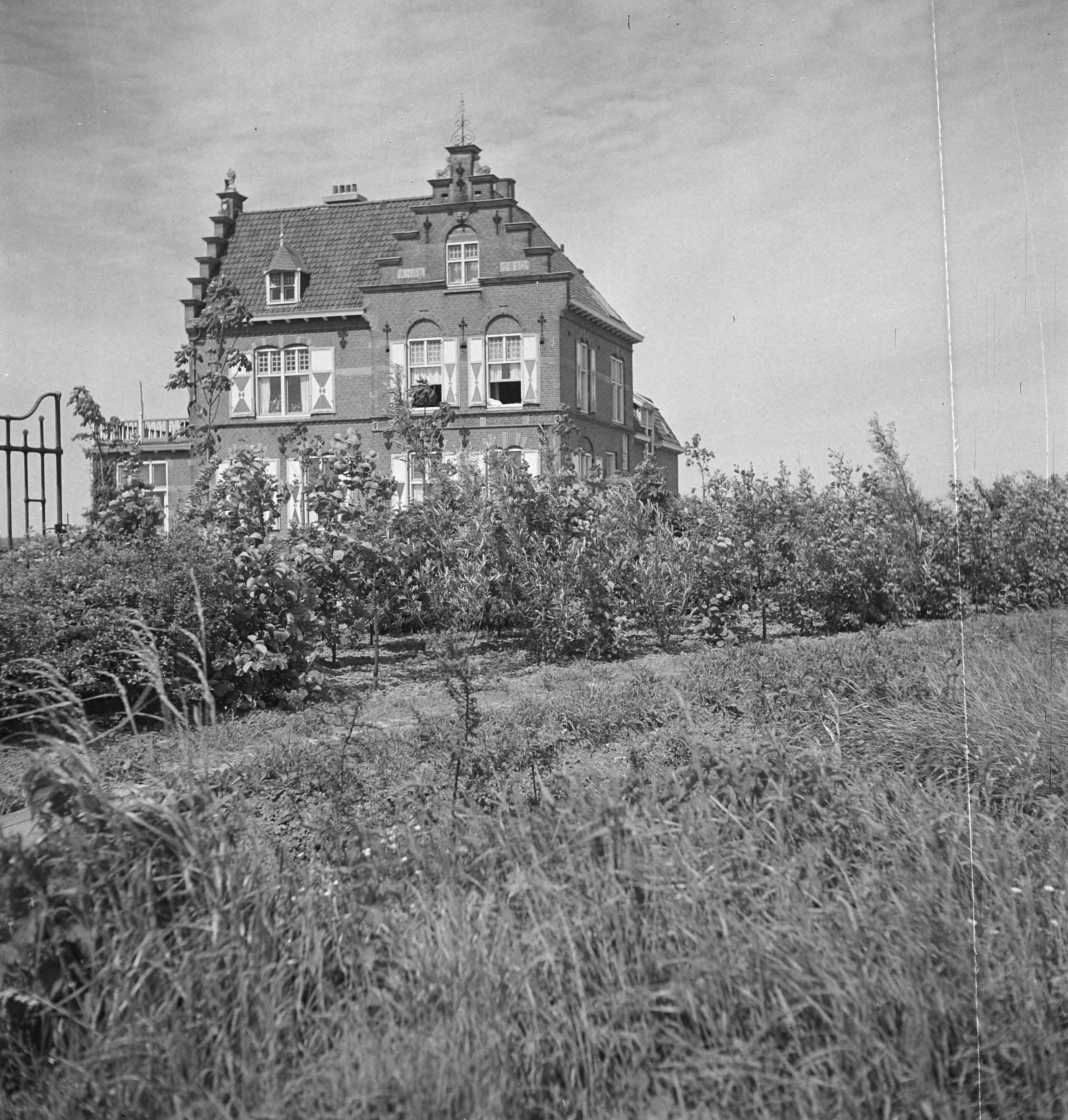 Fotocollectie Nederlandse Heidemaatschappij — [geen bijschrift. Wellicht herbeplanting landgoed "ter Hooge" in het 2e jaar van de aanleg — Foto: Tromp, [...] / Heidemij. Licentie: Set B: Rechtenvrij / Publiek Domein. Bron: Nationaal Archief. http://hdl.handle.net/10648/ae8000d2-d0b4-102d-bcf8-003048976d84