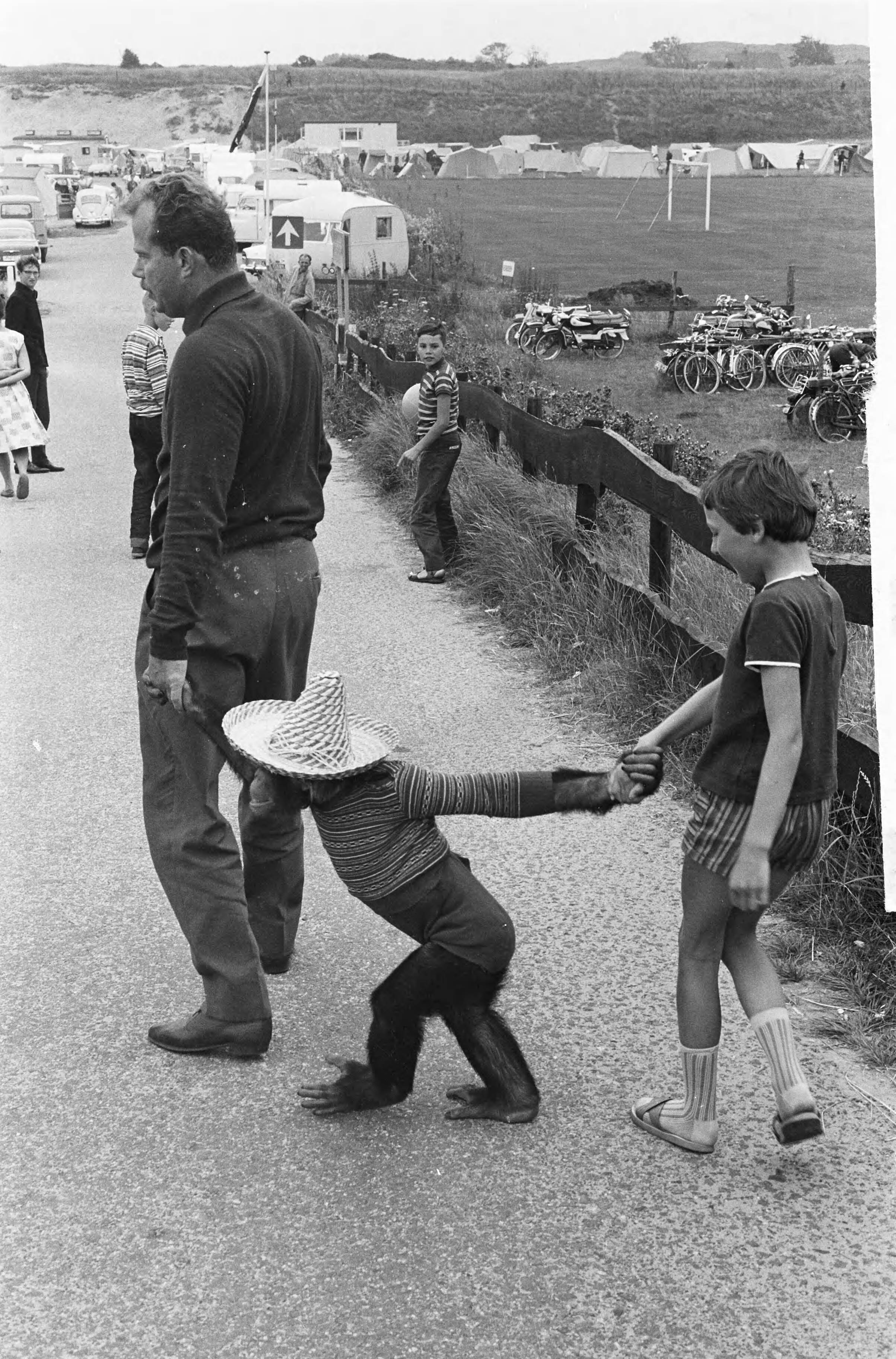 Fotocollectie Anefo — Op Camping Sandevoerde (Zandvoort) logeert een vreemde gast de chimpansee Suzy, aan de wandel met een van de kinderen — Foto: Pot, Harry / Anefo. Licentie: Set B: Rechtenvrij / Publiek Domein. Bron: Nationaal Archief. http://hdl.handle.net/10648/aa1249ce-d0b4-102d-bcf8-003048976d84