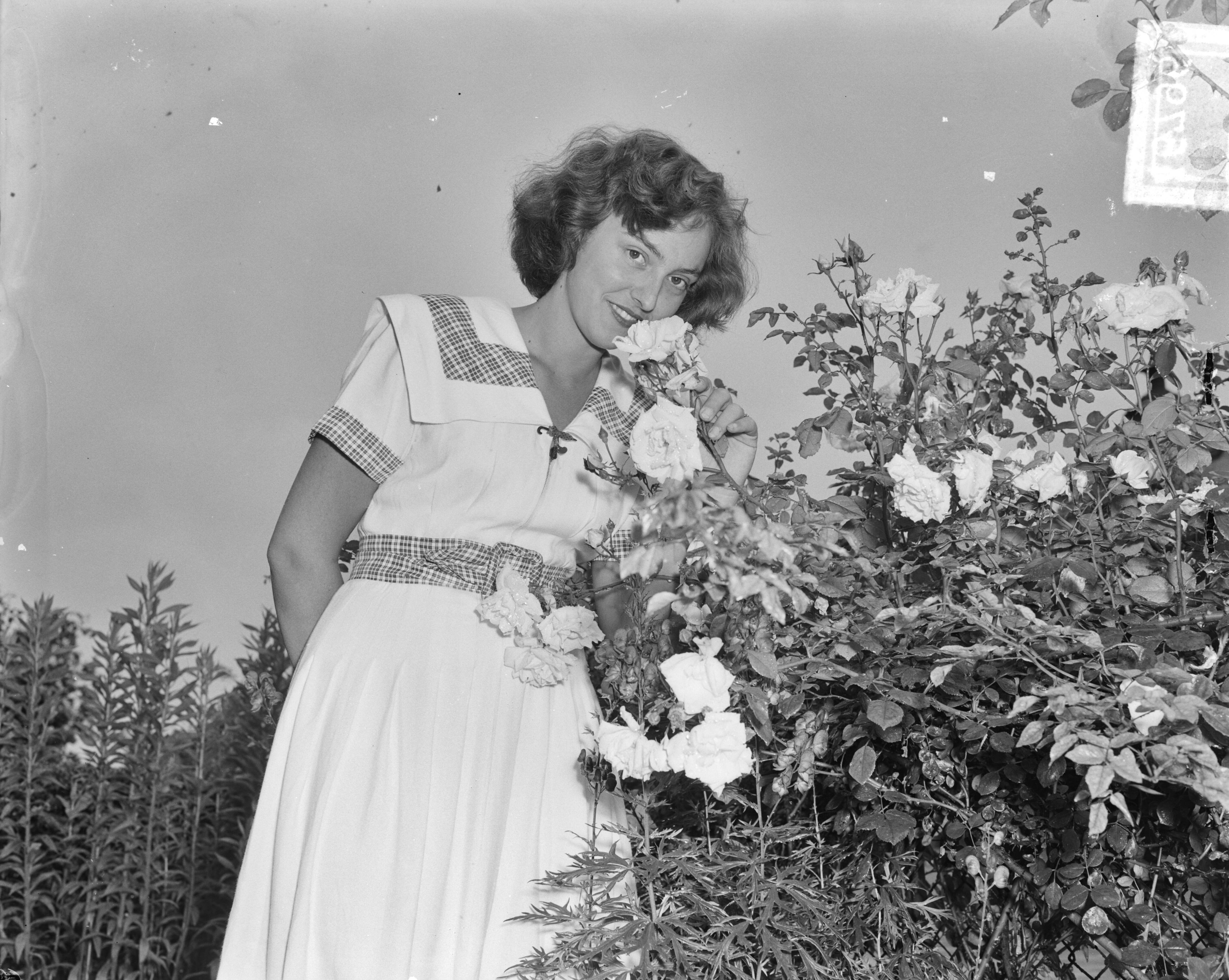 Beppie Landmeter bloemenkoningin van Haarlem — Foto: Pot, Harry / Anefo. — Licentie: Set B: Rechtenvrij / Publiek Domein. Bron: Nationaal Archief. http://hdl.handle.net/10648/a8ecf1c0-d0b4-102d-bcf8-003048976d84