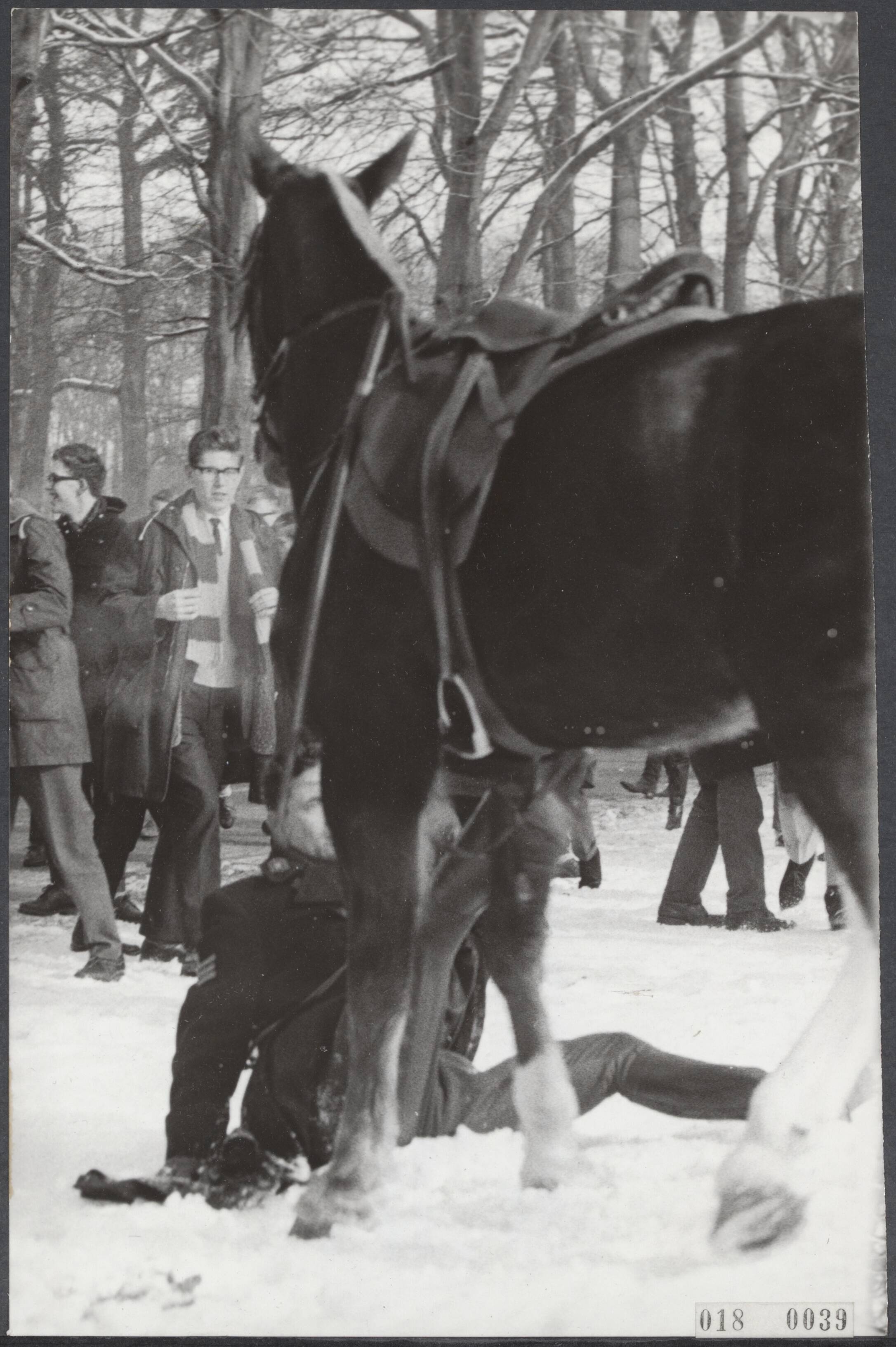 Fotocollectie Elsevier Binnenland — Prinses Beatrix en Claus von Amsberg zijn in Baarn in ondertrouw gegaan. Tijdens de rijtoer na de plechtigheid kan en een agent zijn paard niet in bedwang houden en werd er afgeworpen — Foto: Nijs, Jac. de / Anefo. Licentie: Set B: Rechtenvrij / Publiek Domein. Bron: Nationaal Archief. http://hdl.handle.net/10648/adc105ce-d0b4-102d-bcf8-003048976d84