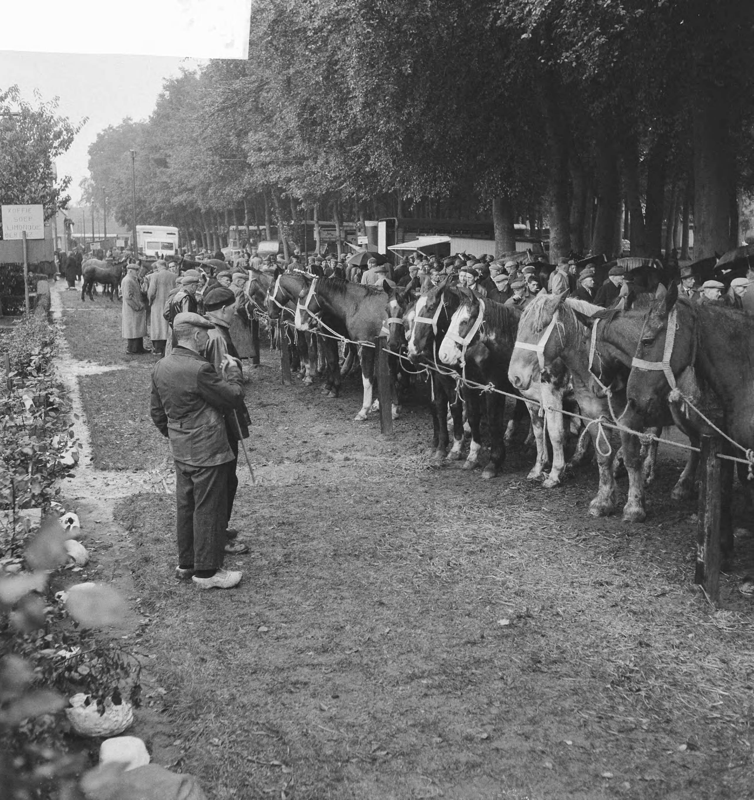 Fotocollectie Anefo — Paardemarkt in Zuidlaren. Overzicht — Foto: Koch, Eric / Anefo. Licentie: Set B: Rechtenvrij / Publiek Domein. Bron: Nationaal Archief. http://hdl.handle.net/10648/a9e7d6e4-d0b4-102d-bcf8-003048976d84