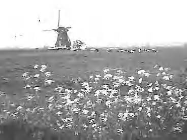 Fotocollectie Rijksvoorlichtingsdienst Eigen — Watermolen, genaamd nummer 3 (bovenmolen) te Aarlanderveen, provincie Zuid-Holland. Molen maakt deel uit van de molenviergang te Aarlanderveen. 8-kante grondzeiler, rietgedekt, voorzien van scheprad, bouwjaar 1823 — Foto: Schuurman, Ralph L. / RVD. Licentie: Set B: Rechtenvrij / Publiek Domein. Bron: Nationaal Archief. http://hdl.handle.net/10648/af73695c-d0b4-102d-bcf8-003048976d84